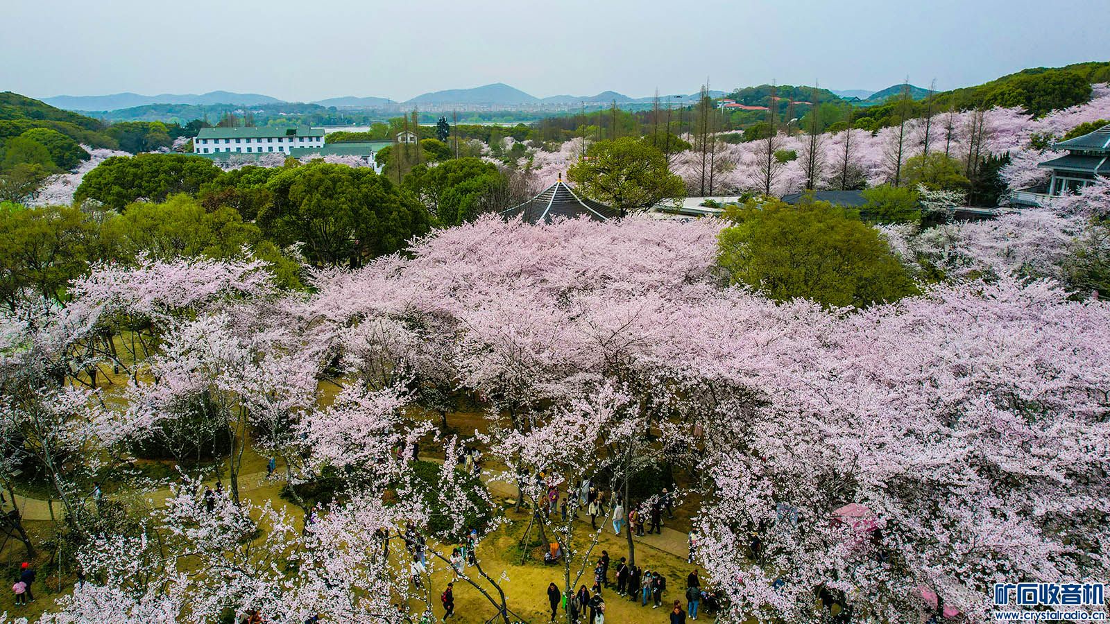 DJI_0180.JPG