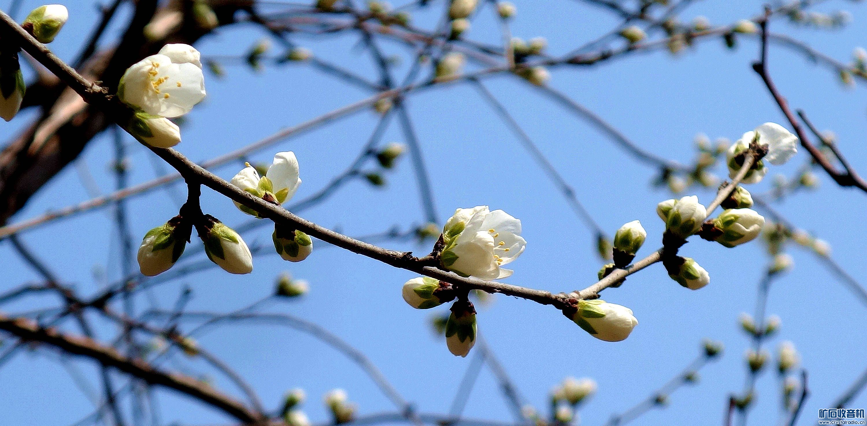 DSC06093.jpg