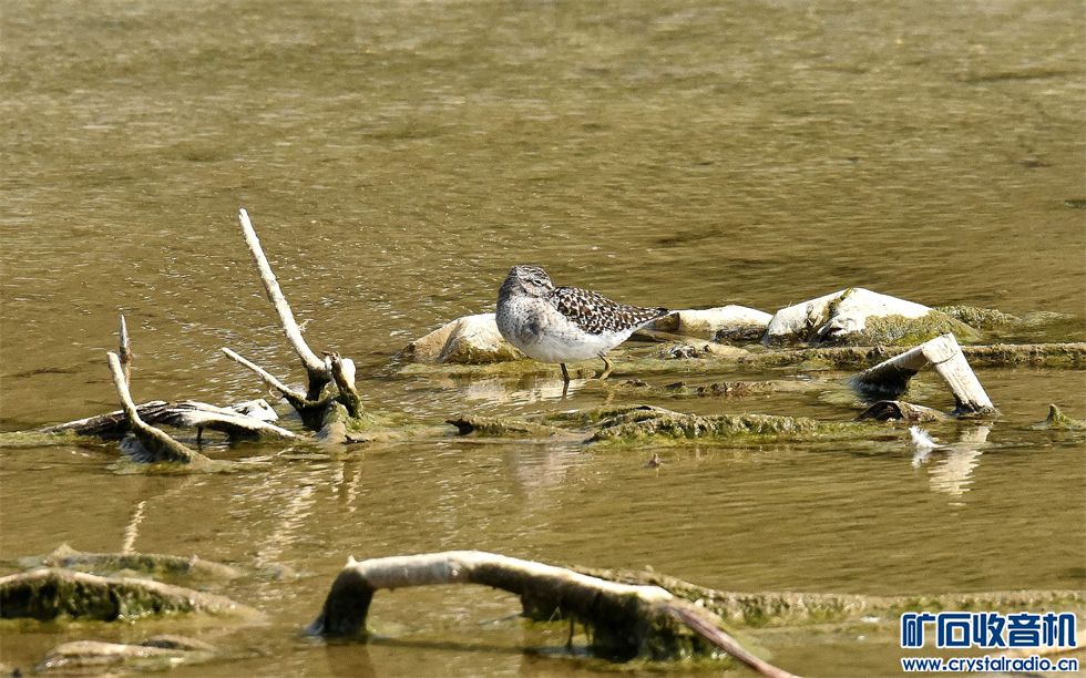 DSC_0362_.jpg
