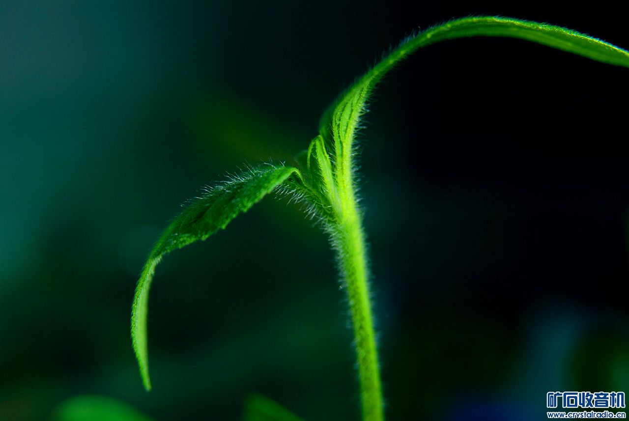 DSC_1224.jpg