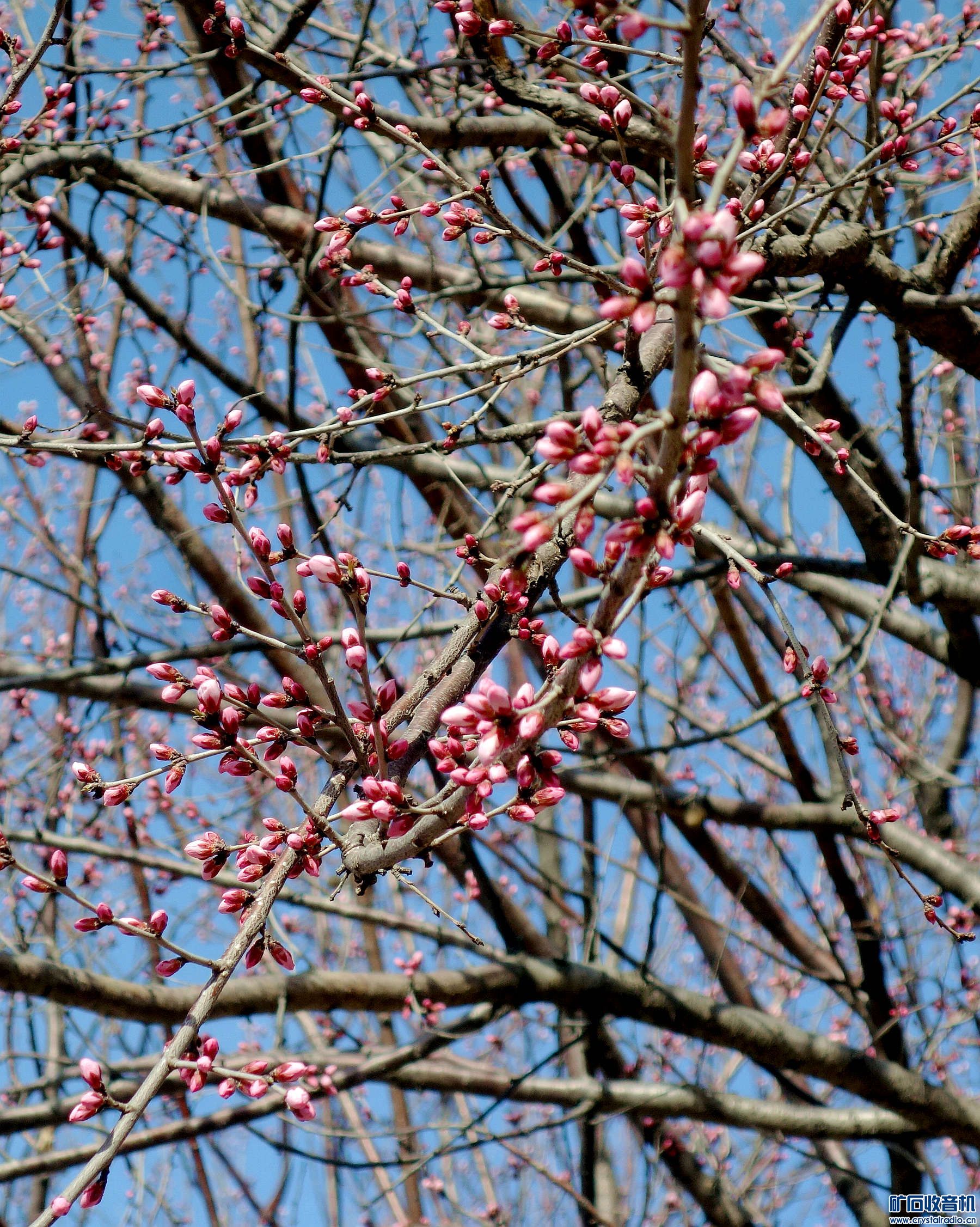 DSC06024.jpg