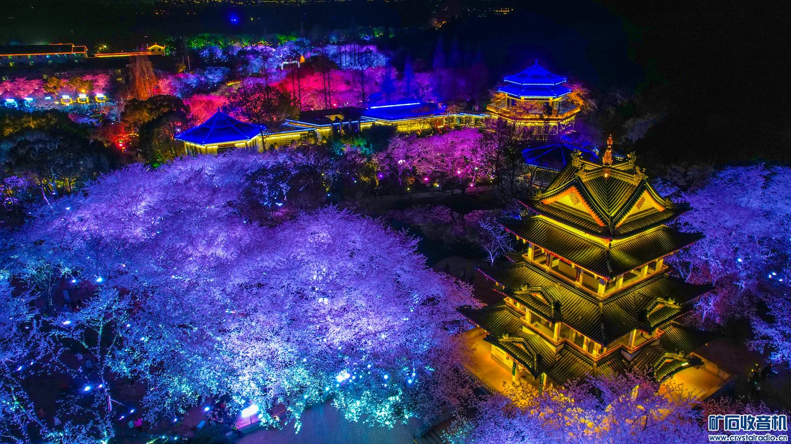 DJI_0224.JPG