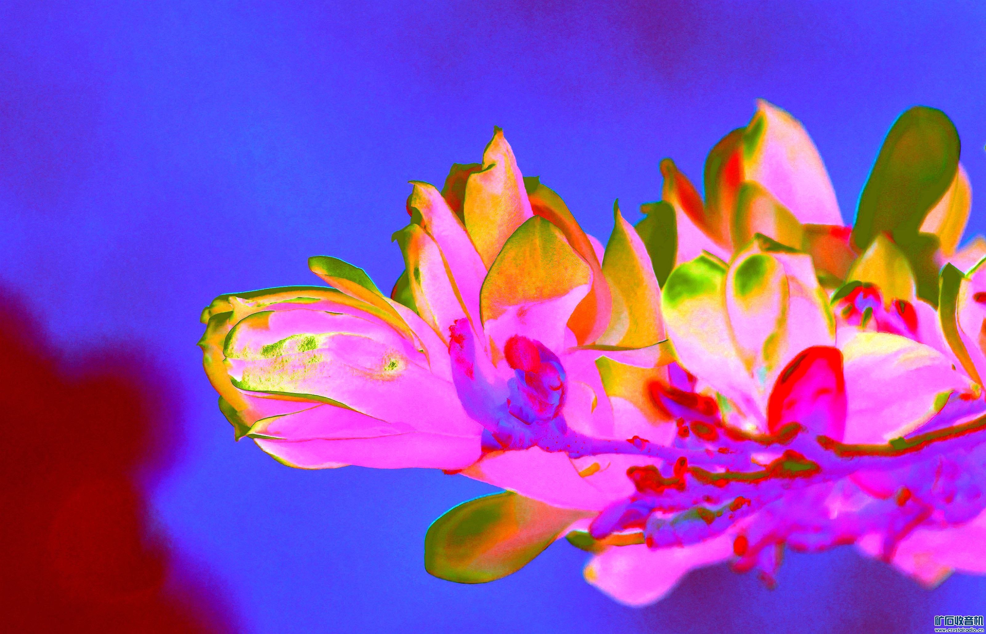˾Ƭ@01.jpg