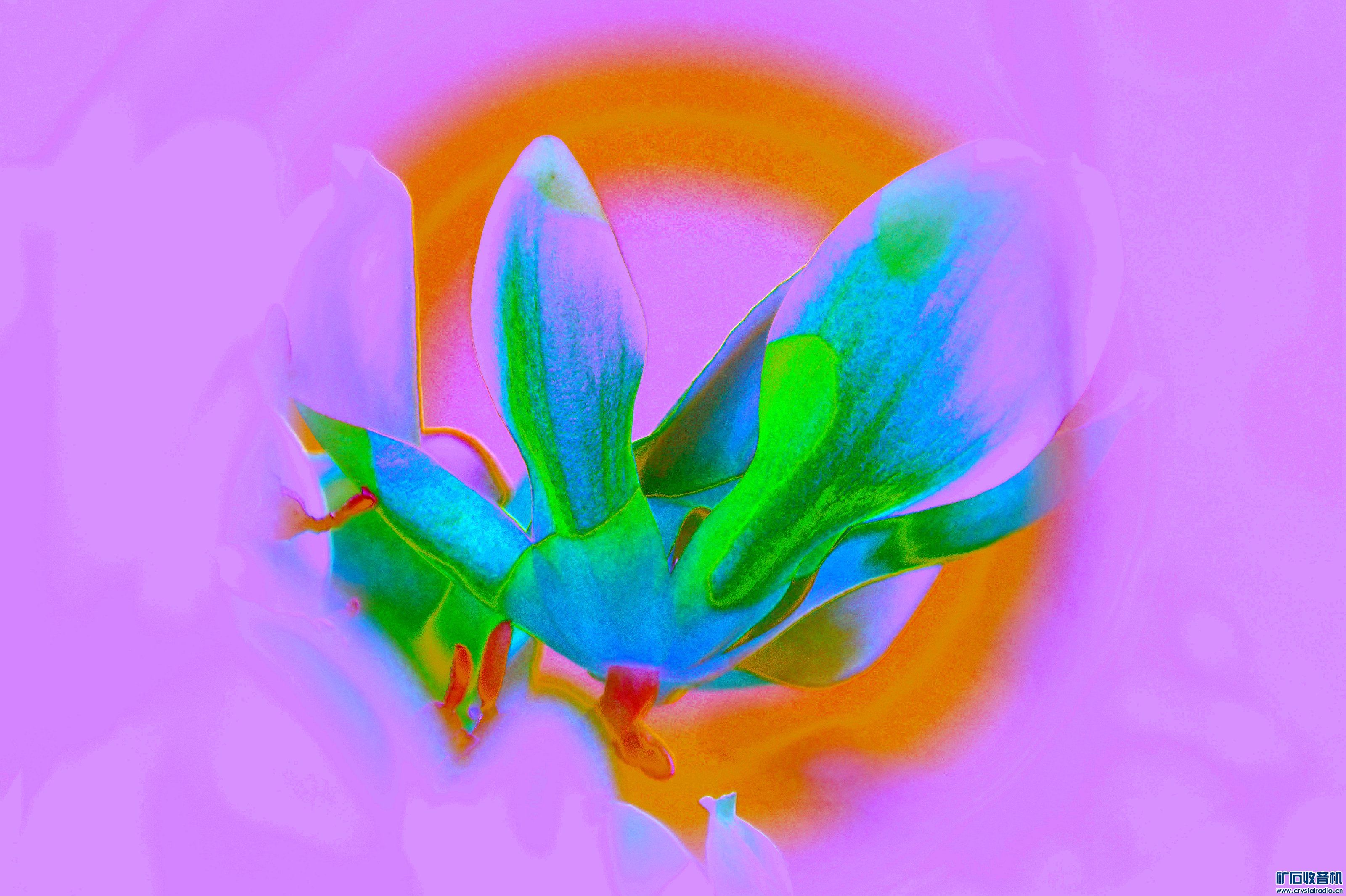 ˾Ƭ@04.jpg