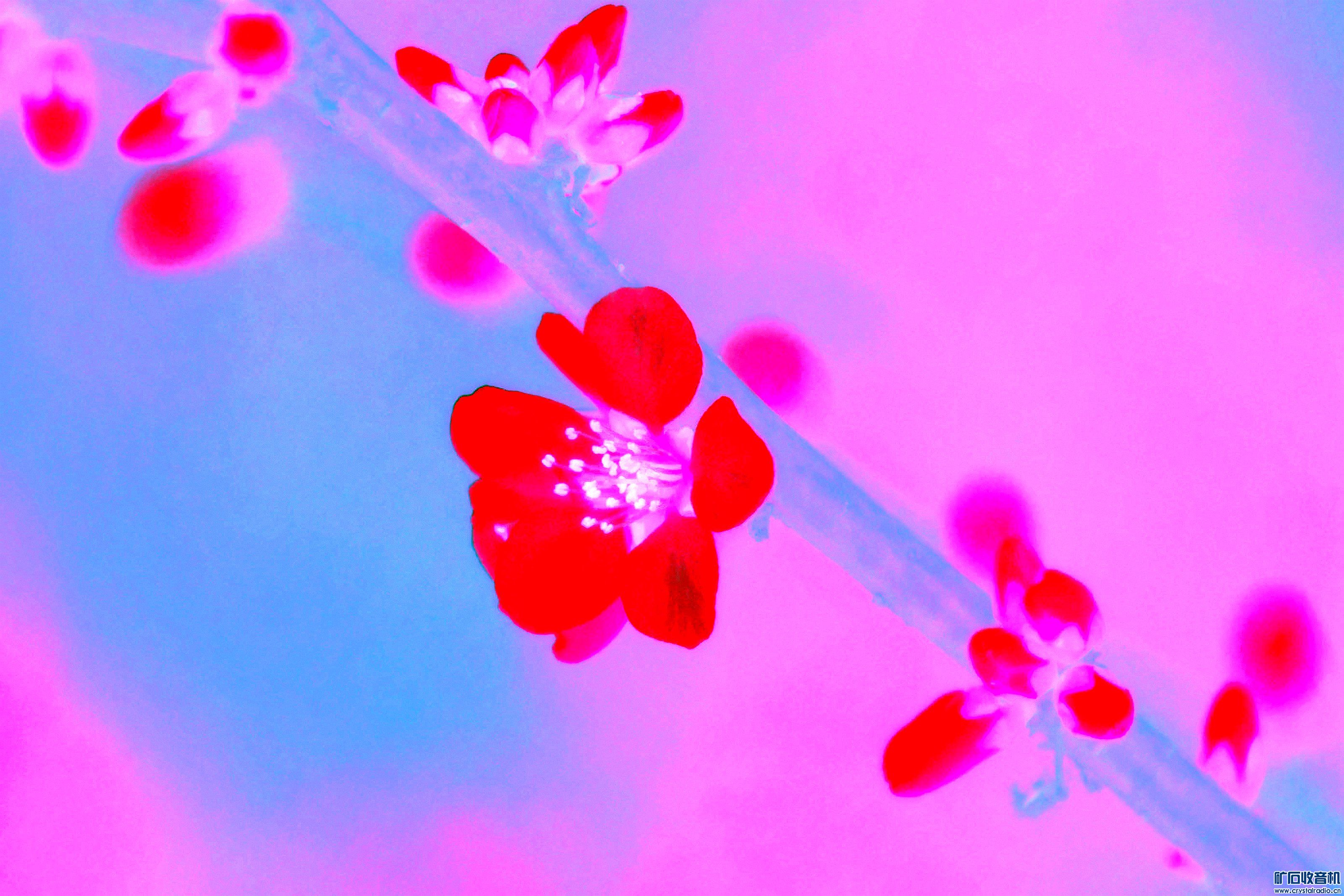 ˾Ƭ@09.jpg