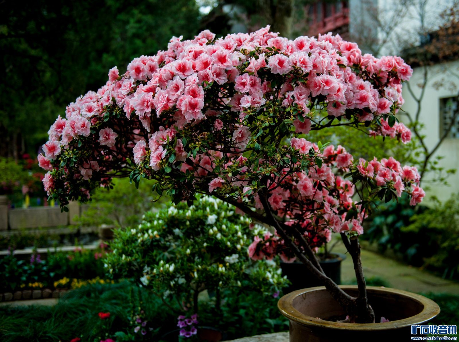 DSC_3613.JPG