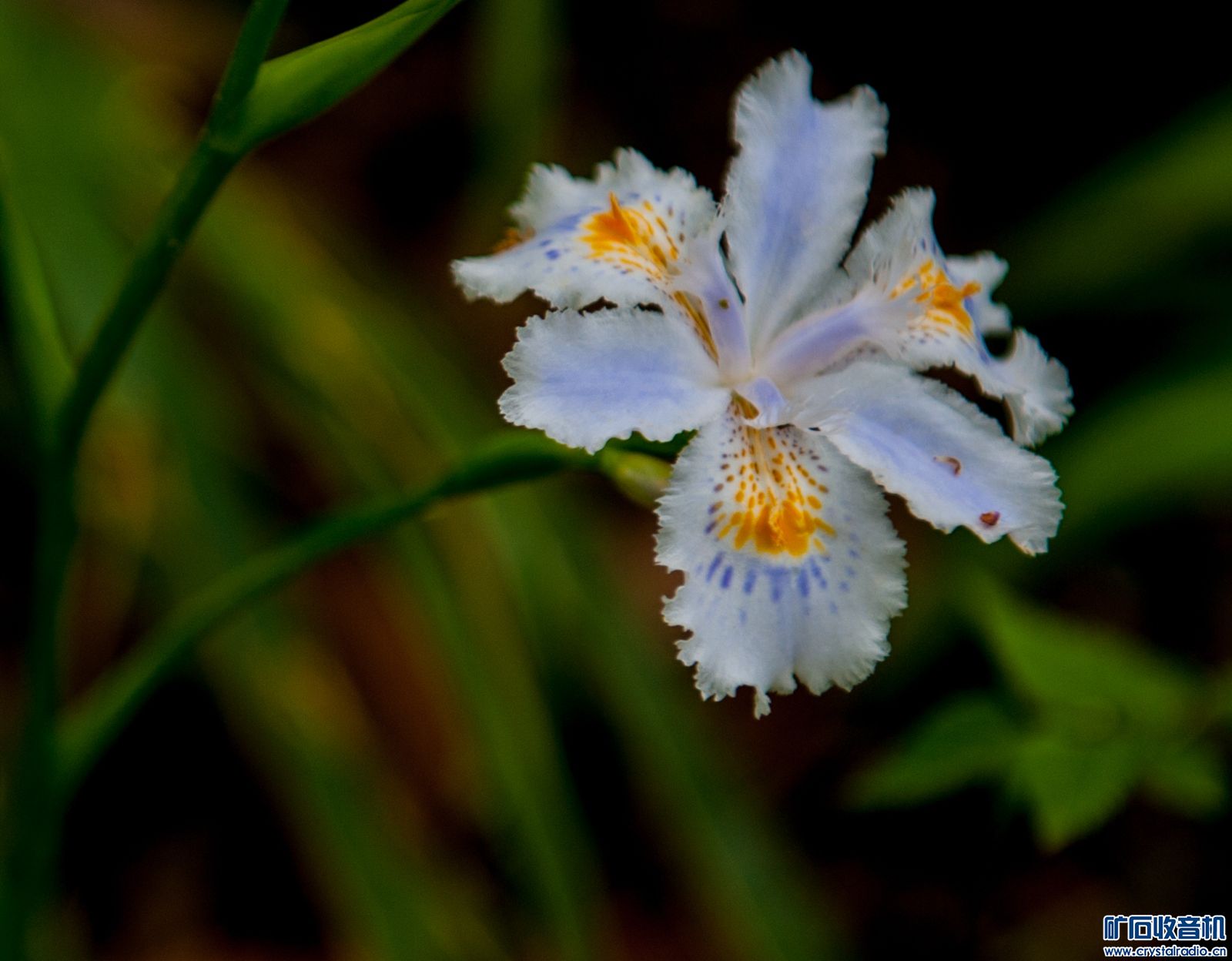 DSC_3626.JPG