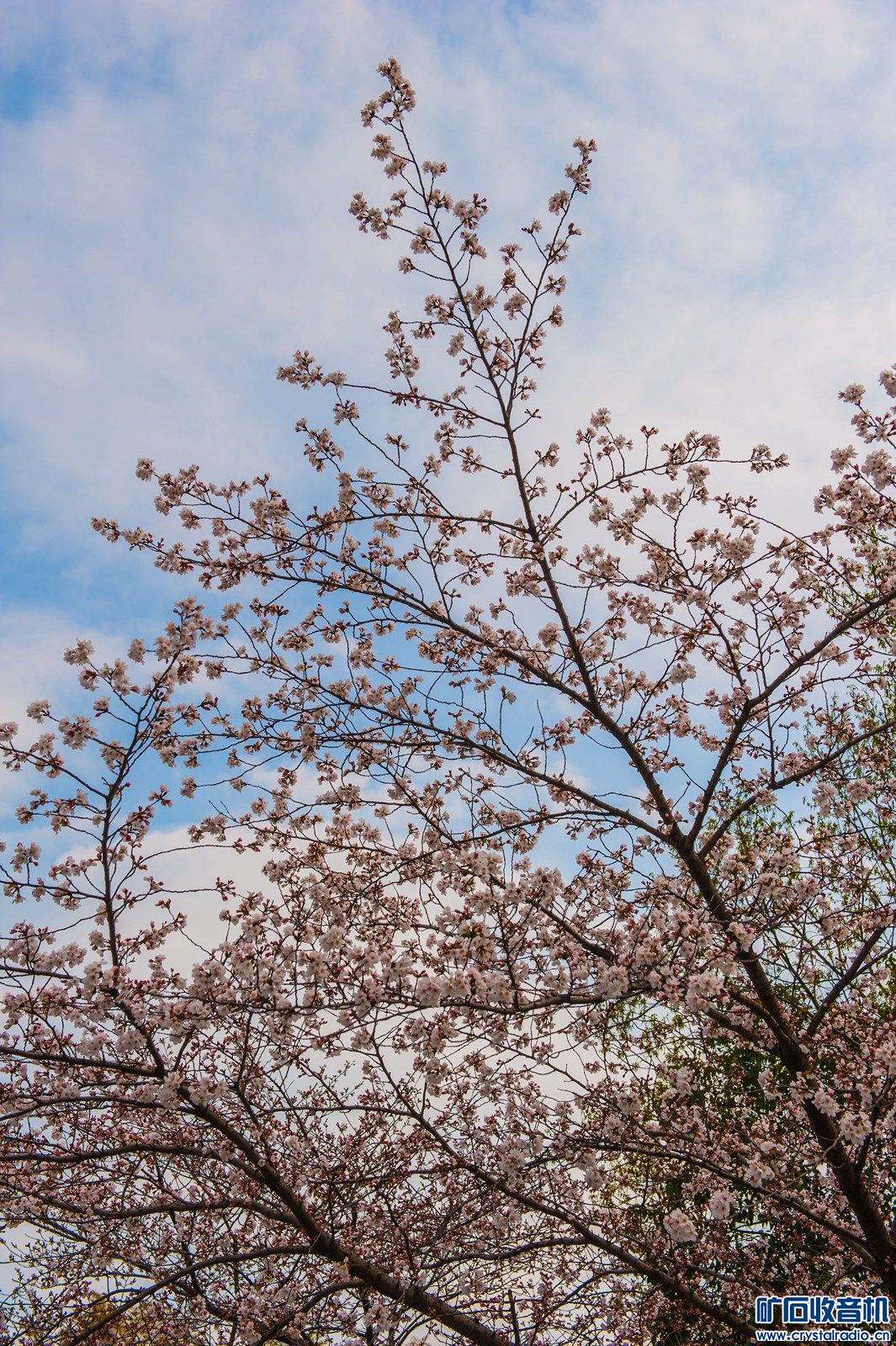 DSC_3597.JPG
