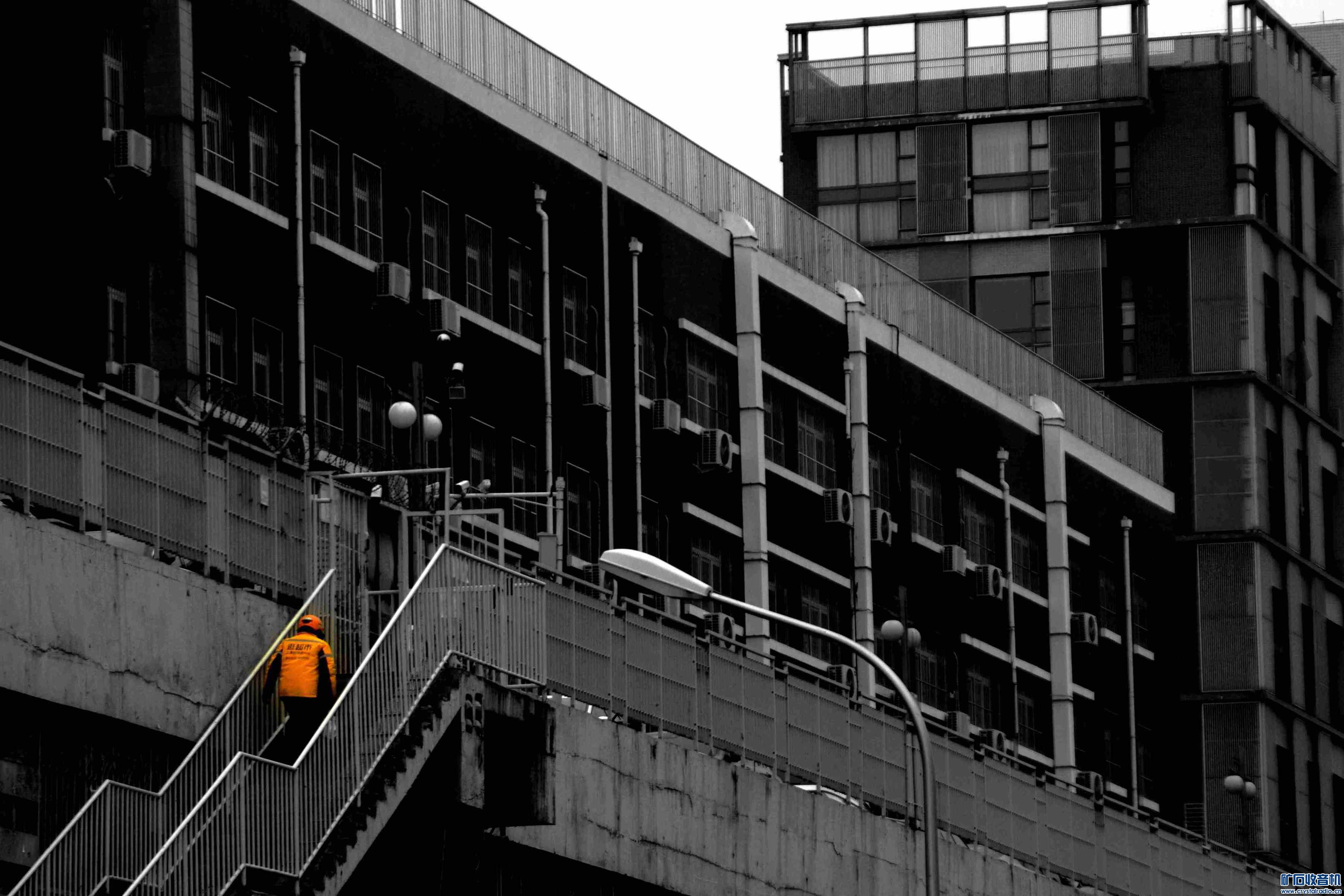 DSC_3586__.jpg