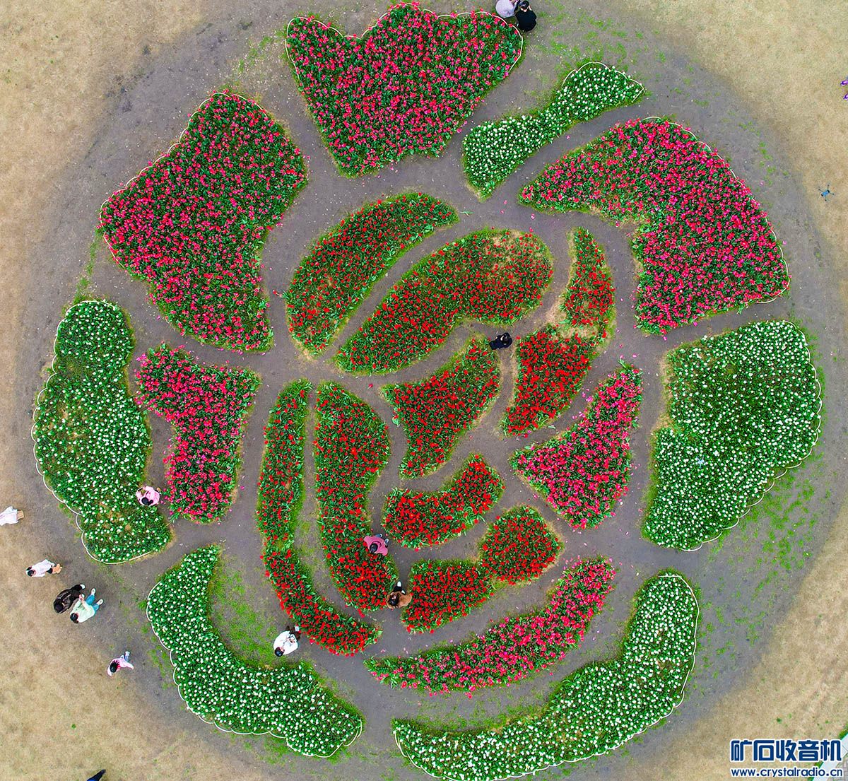 DJI_0106.JPG
