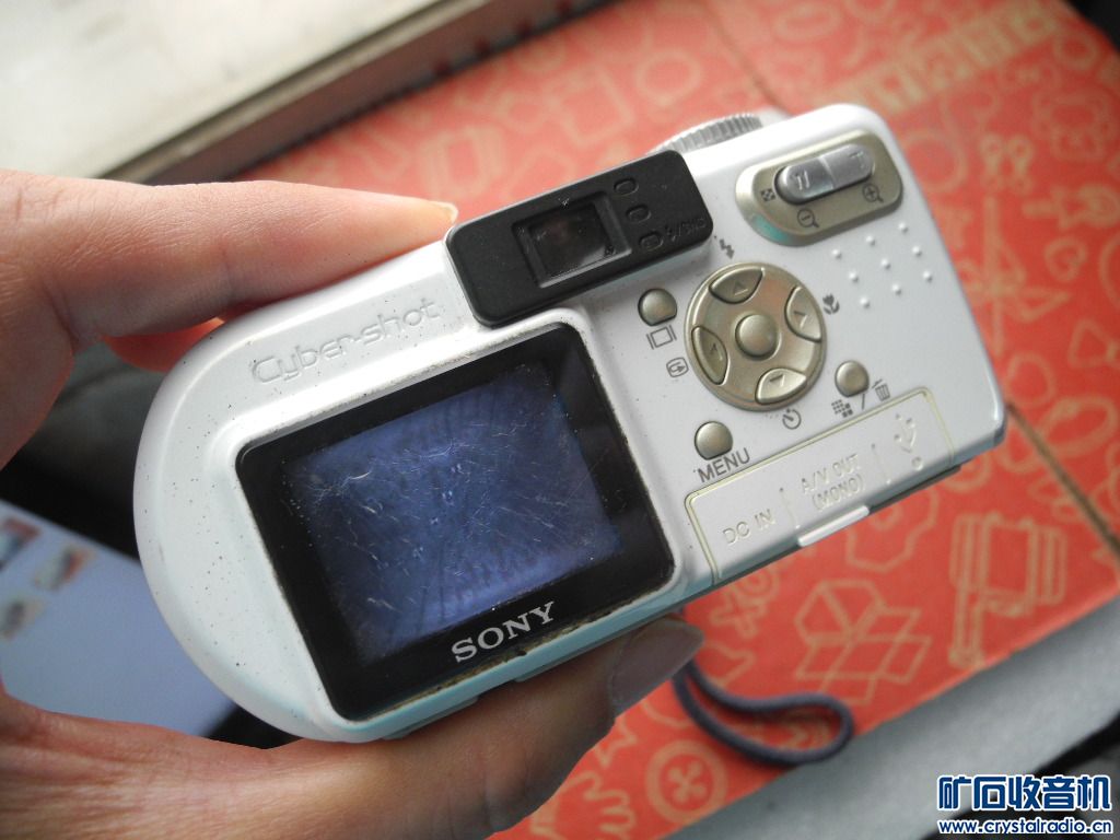 DSCN3151.JPG