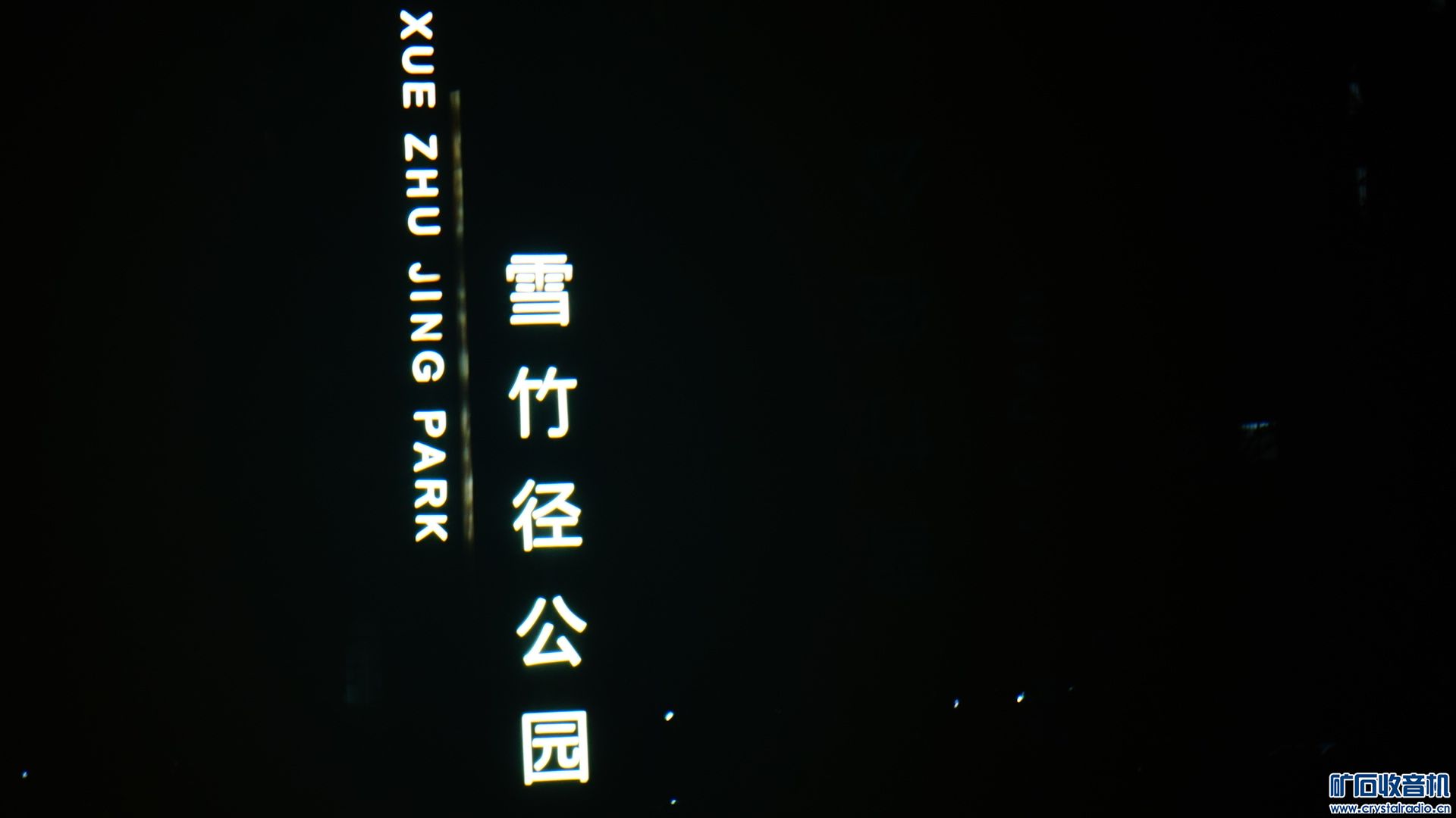 mmexport1680997564680.jpg