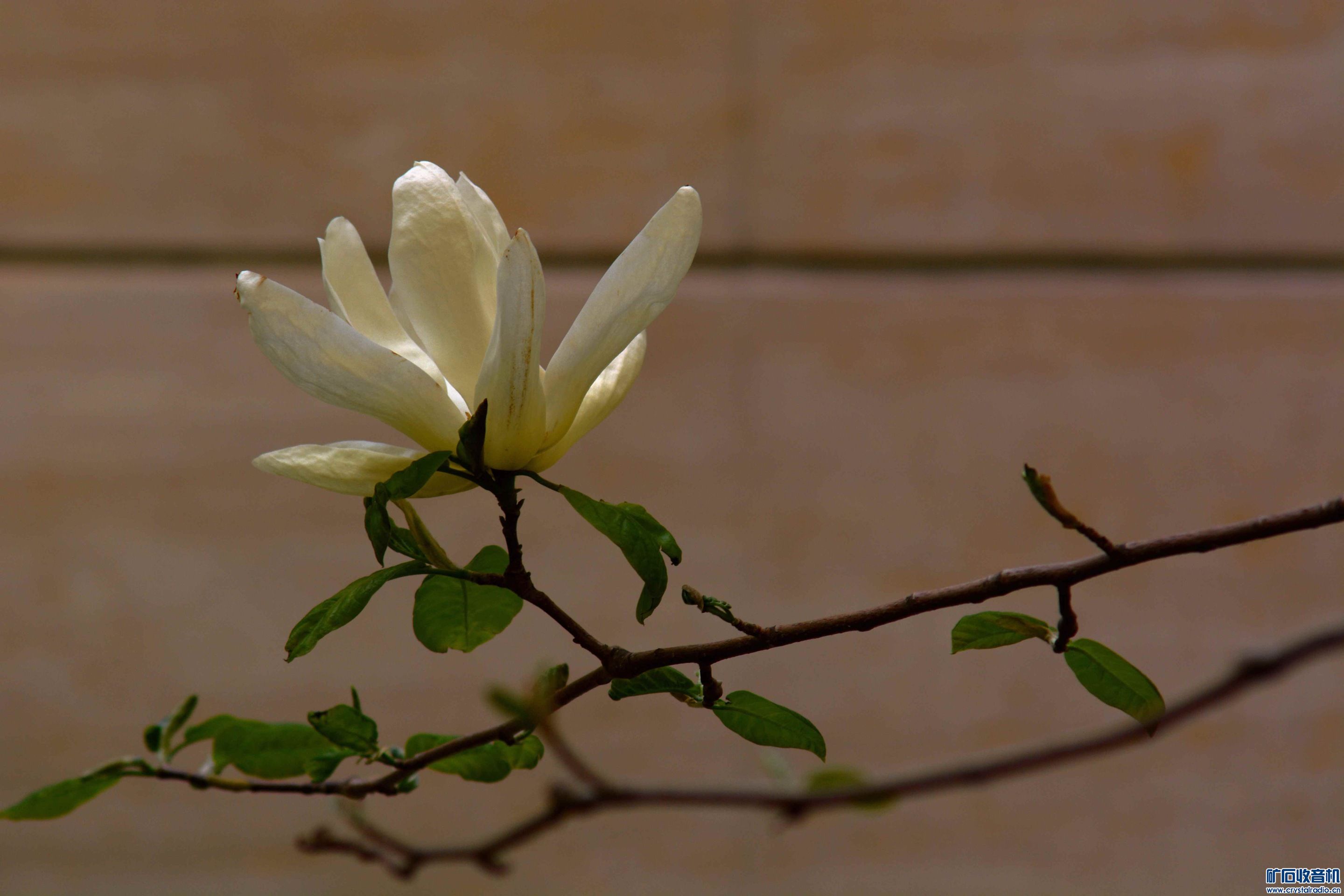 DSC_3776_.jpg