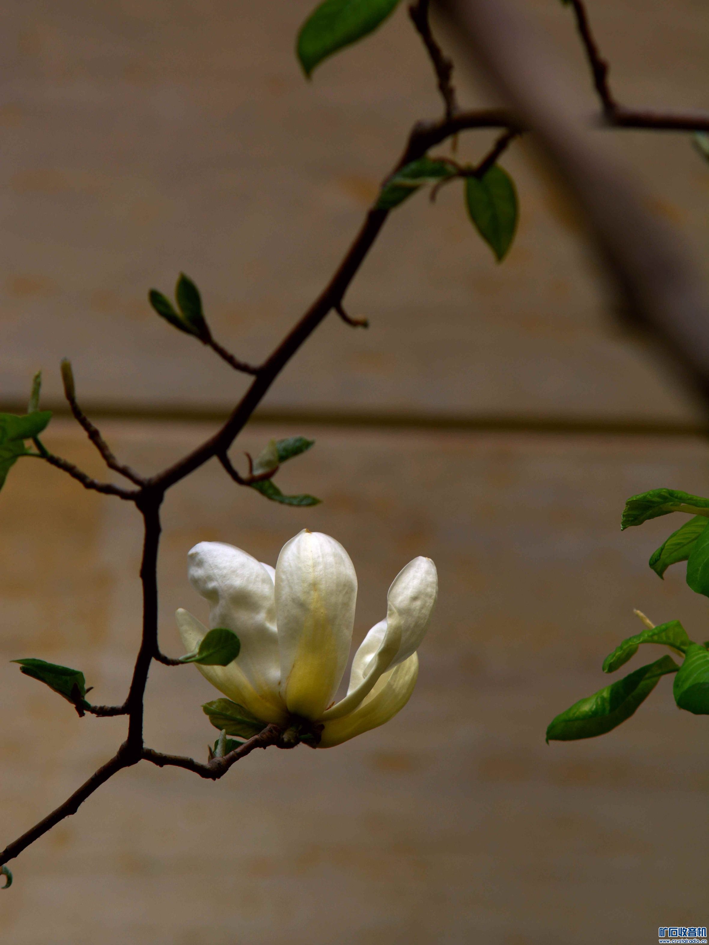 DSC_3777_.jpg