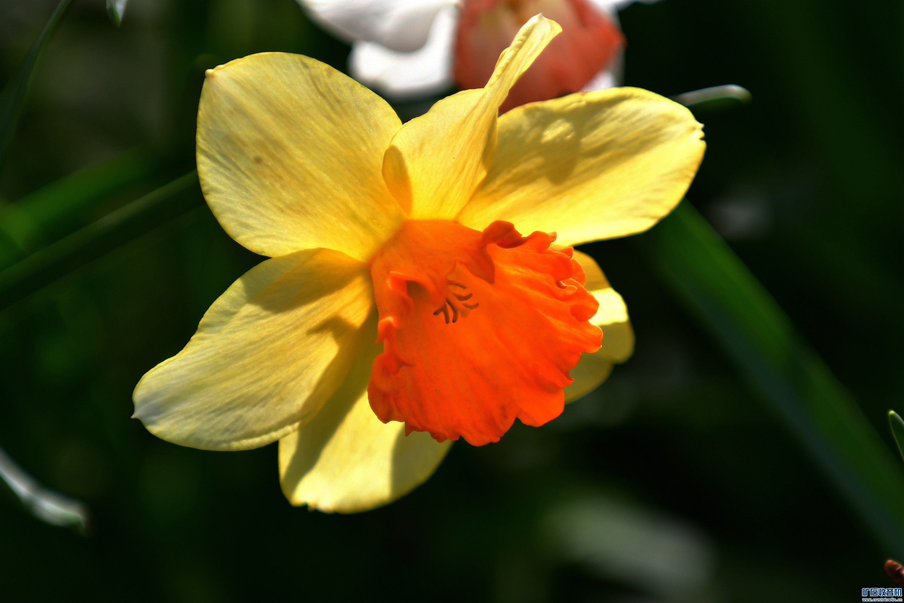 2023.4.11@004.jpg