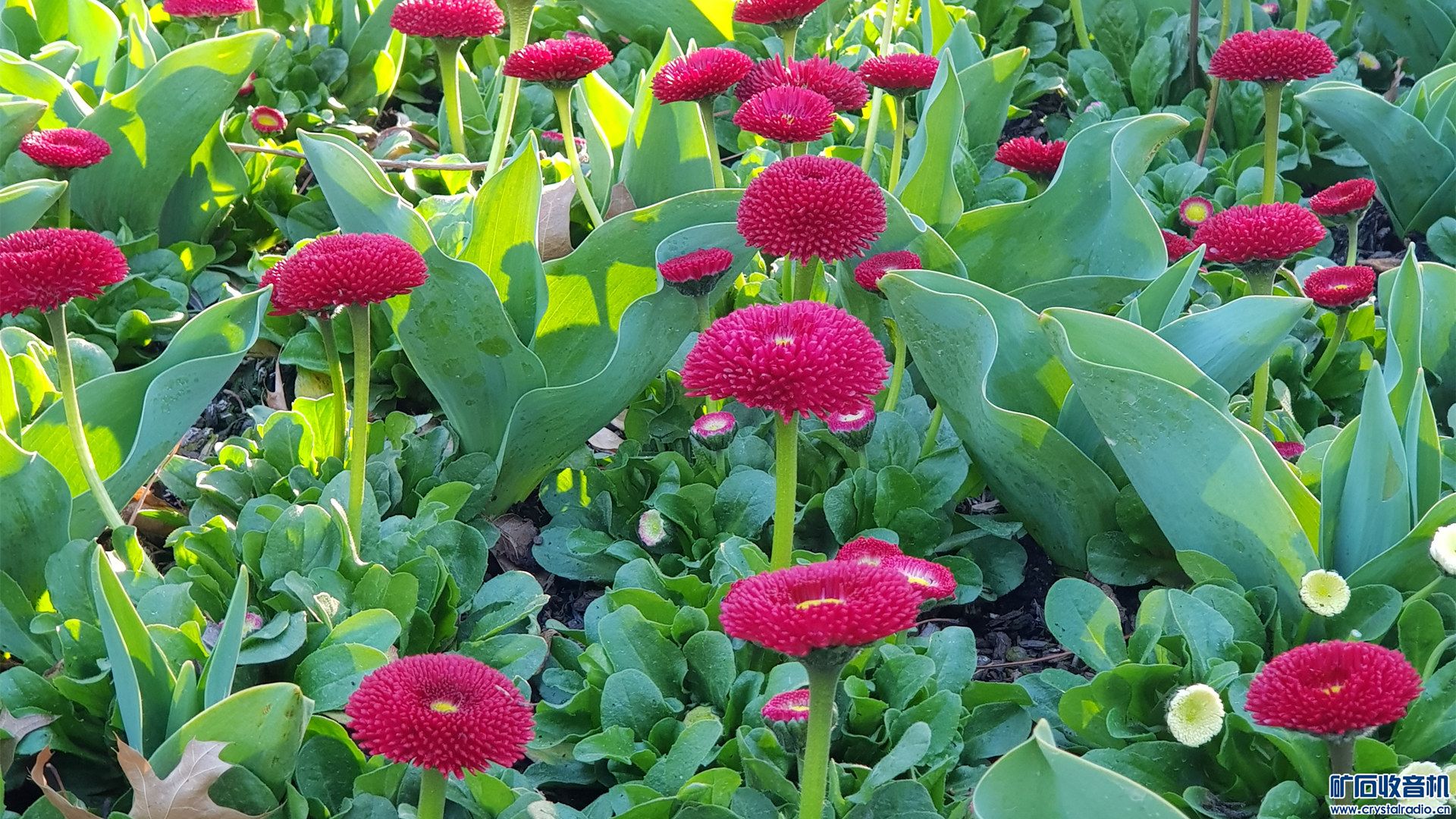 20190914_160349_.jpg
