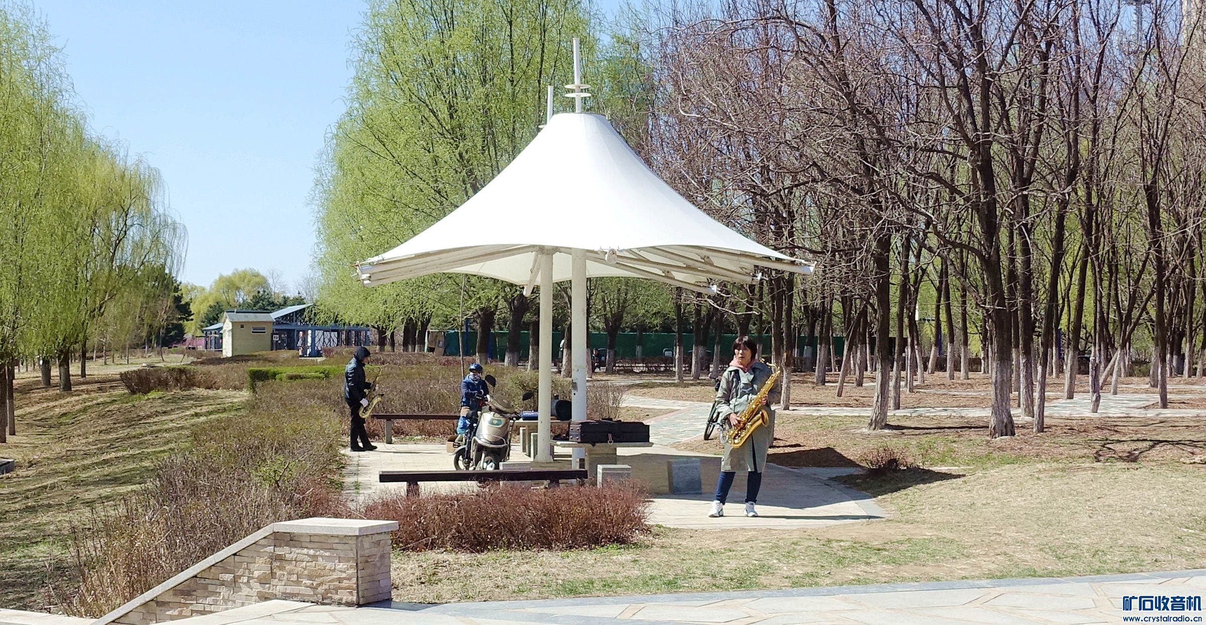 DSC03995.jpg