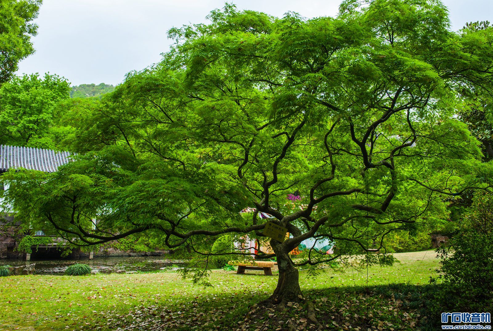 DSC_3833.JPG