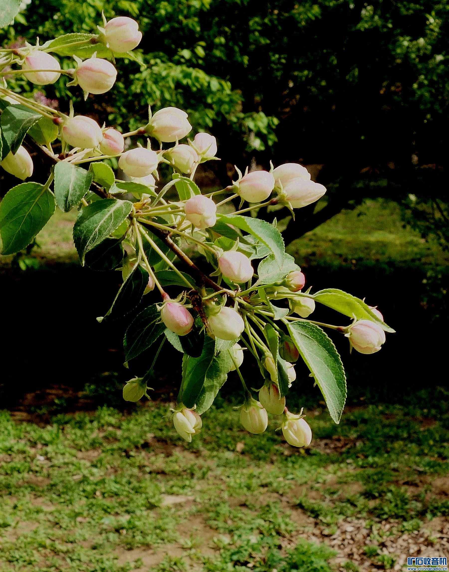 DSC06537.jpg