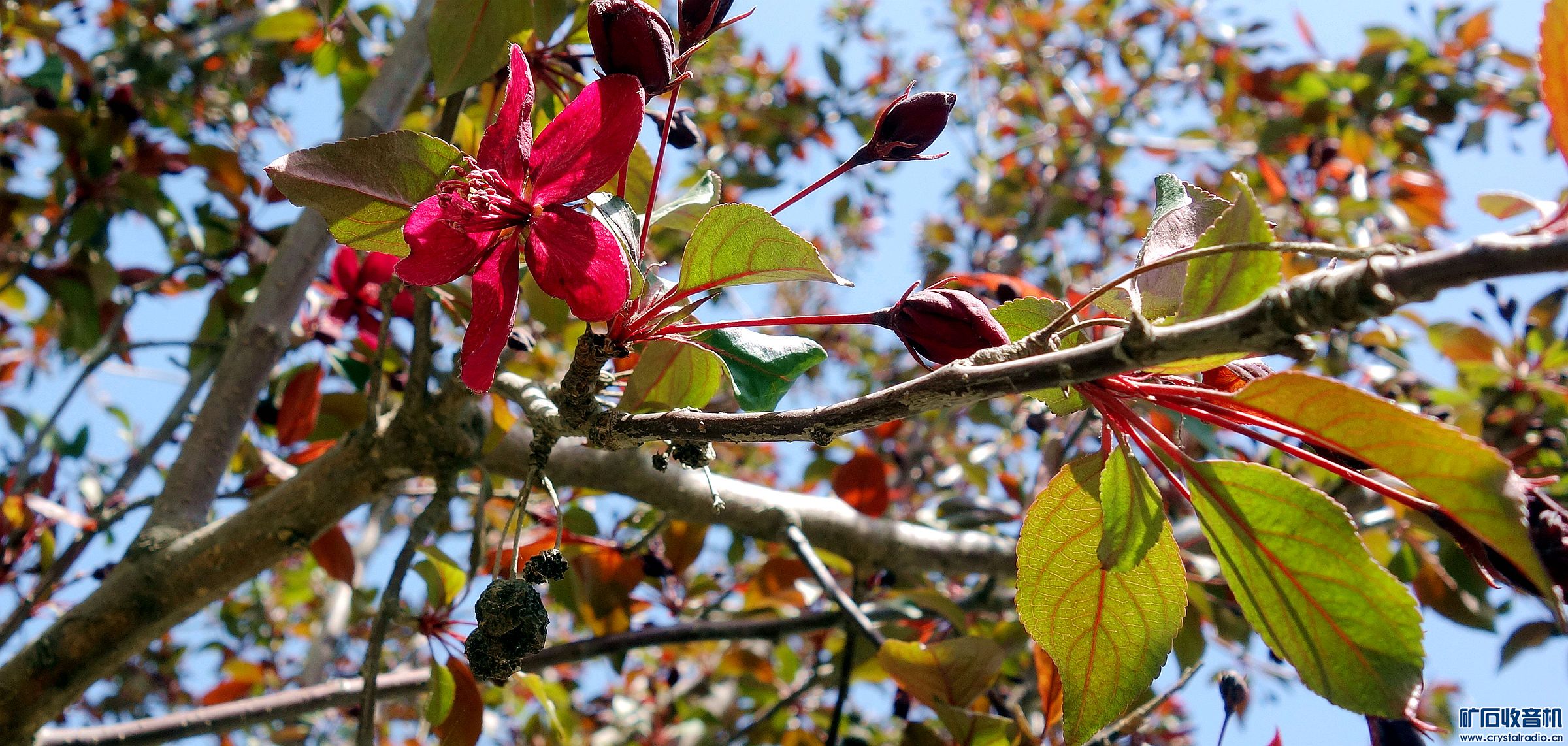 DSC06480.jpg