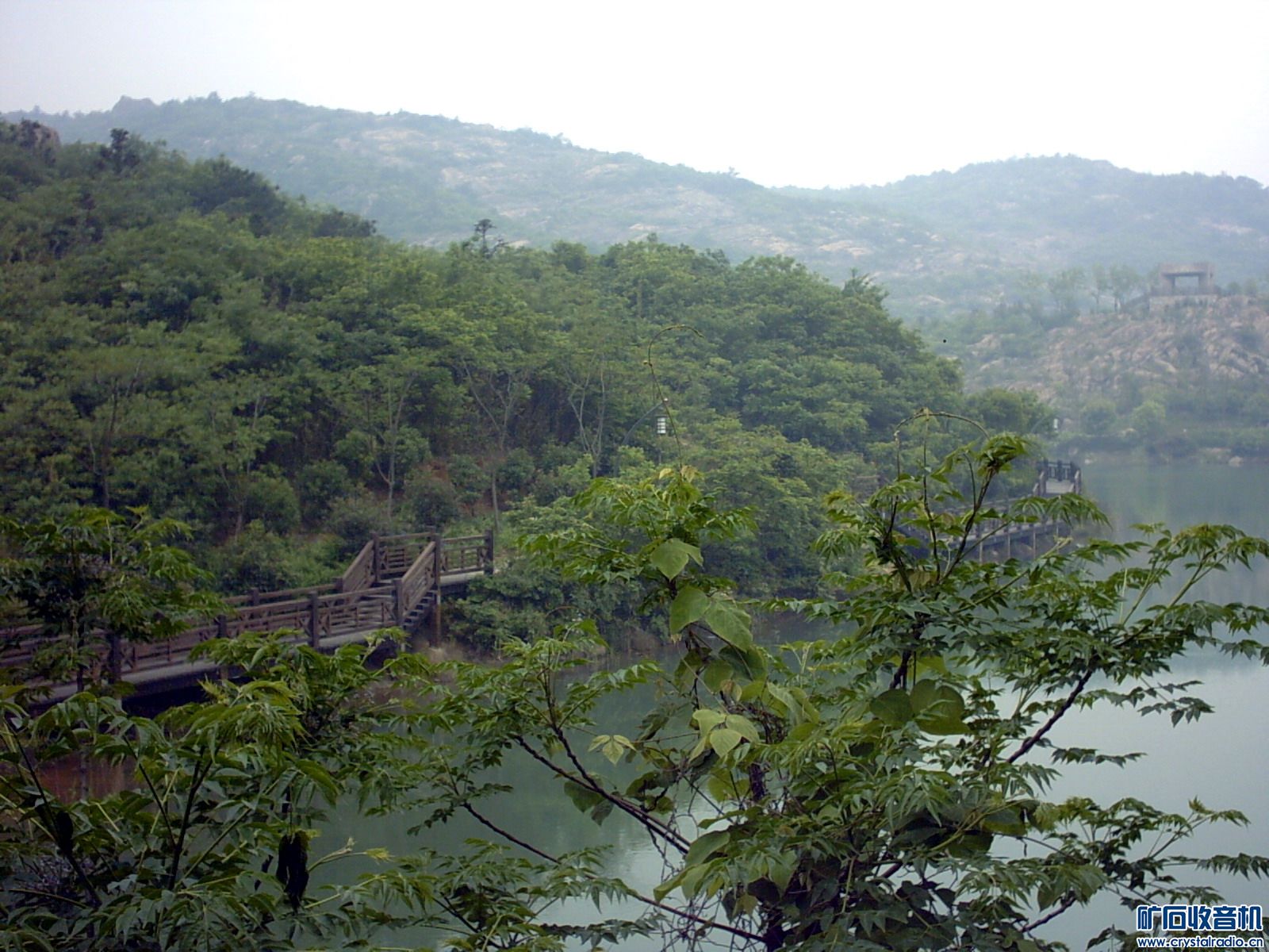 IMG00034.JPG