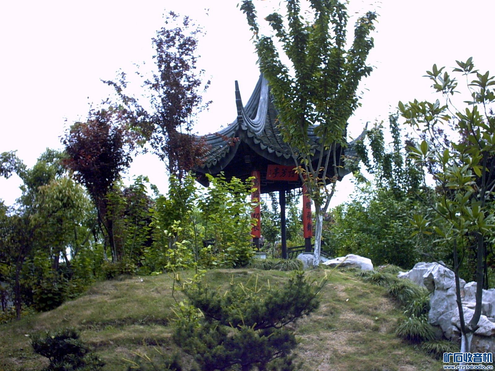 IMG00052.JPG