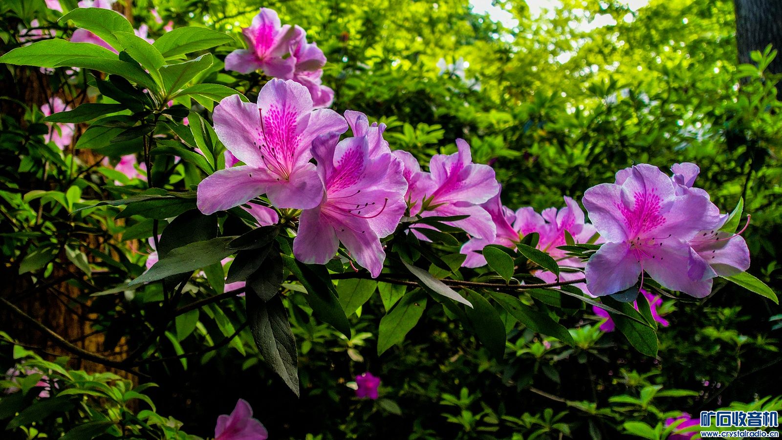 DJI_0369.JPG