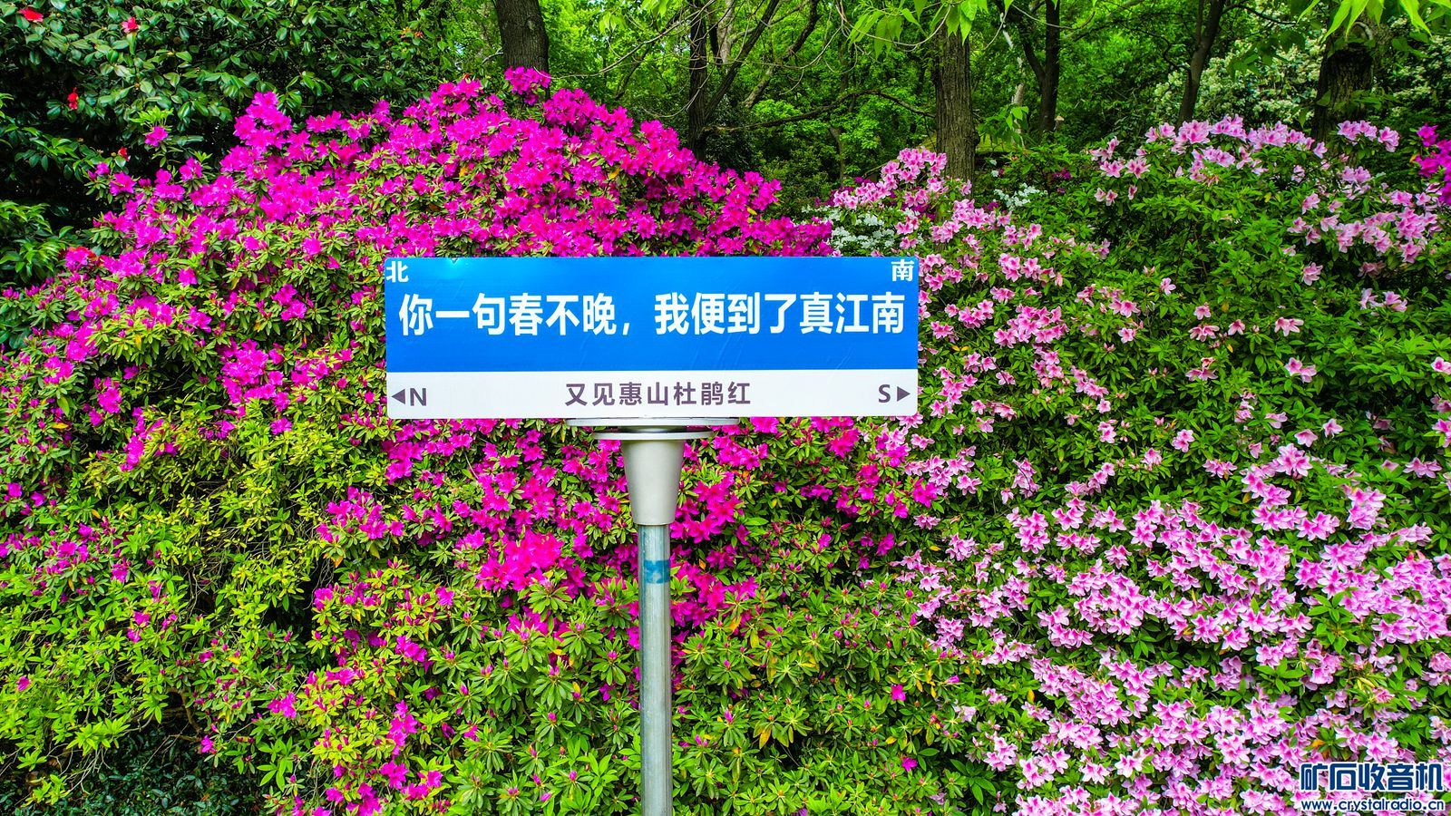 DJI_0388.JPG