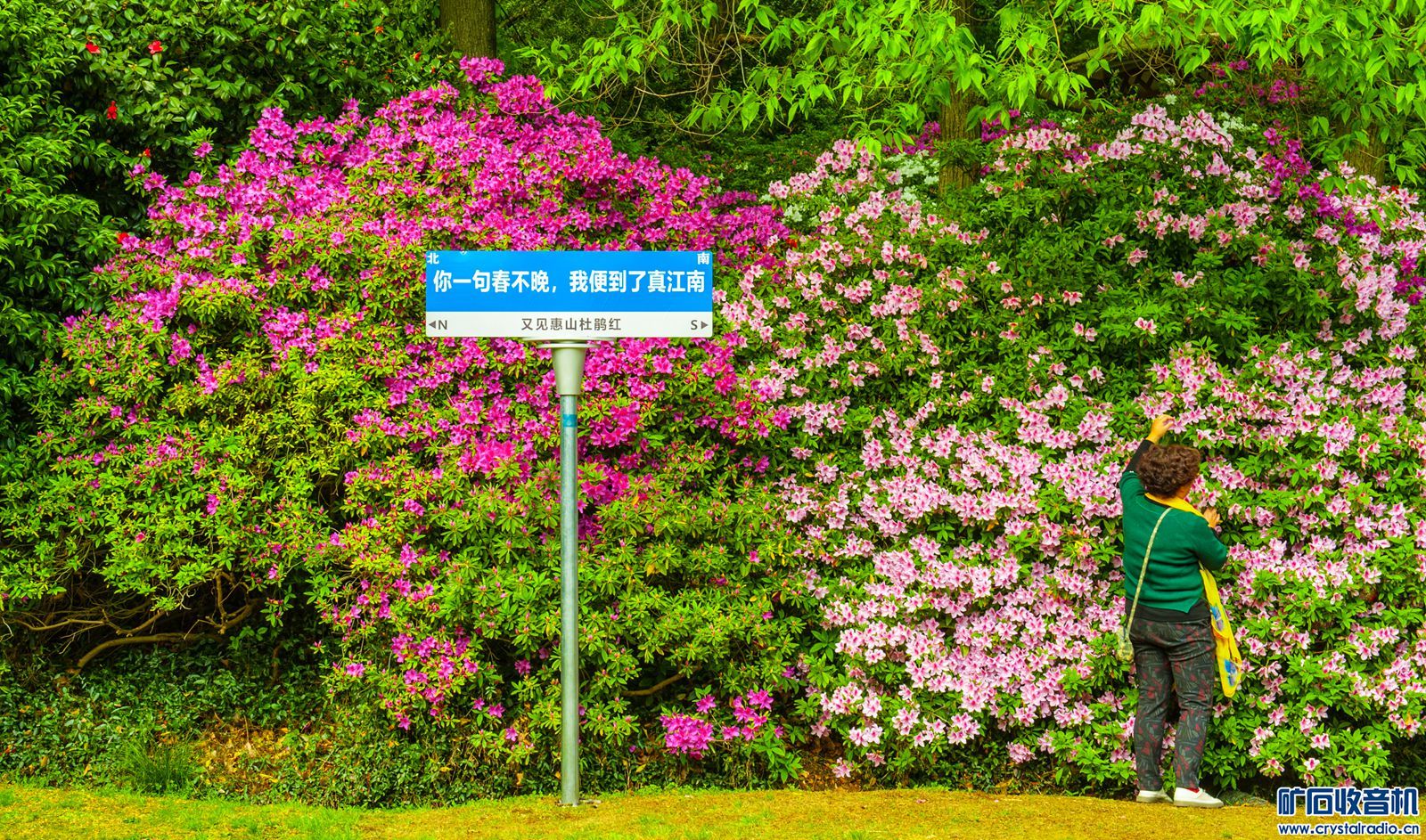 DSC_3800.JPG