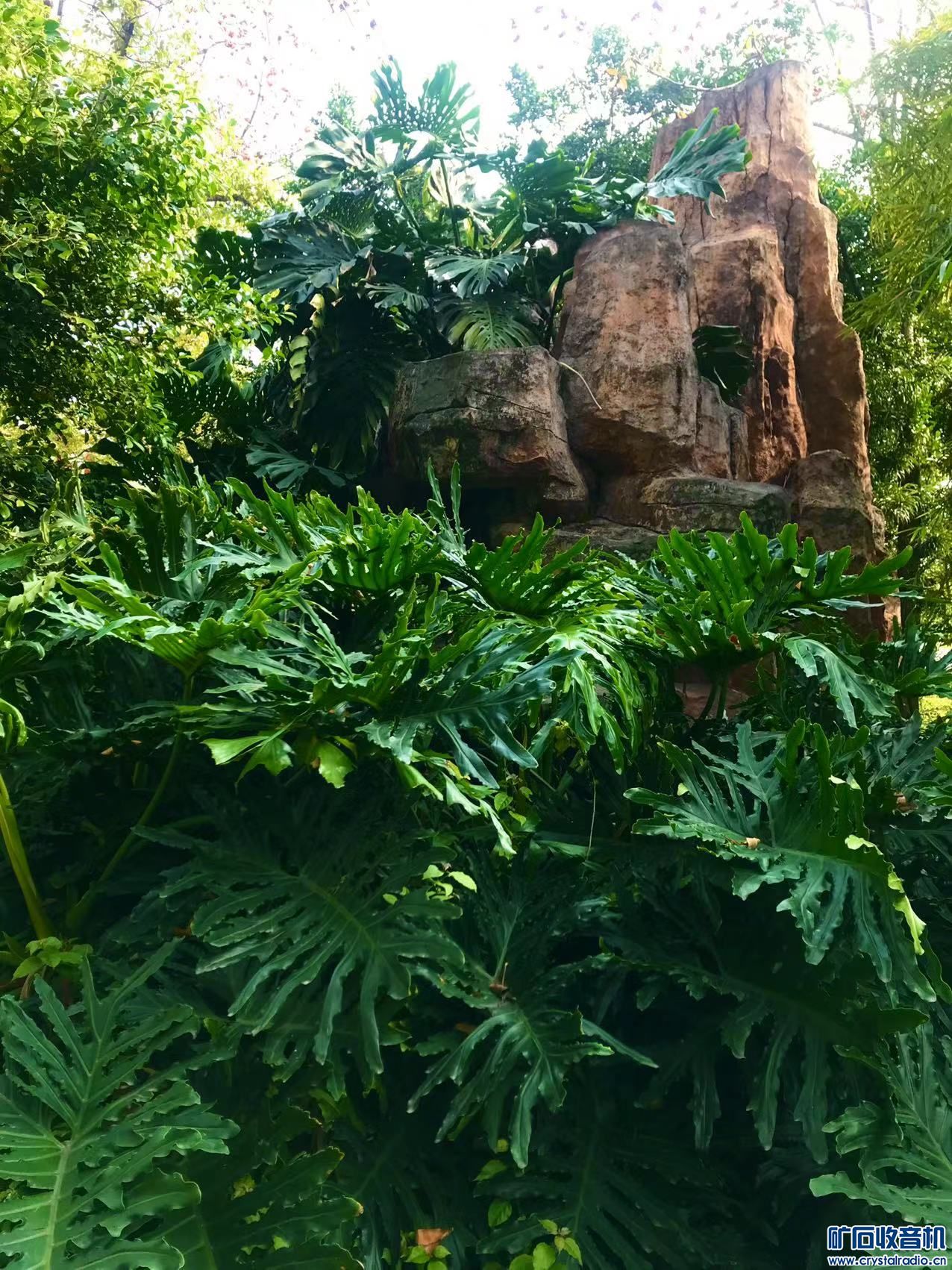 ΢ͼƬ_20230427142551.jpg
