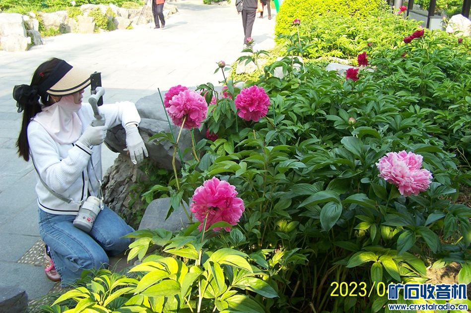 100_7042.JPG