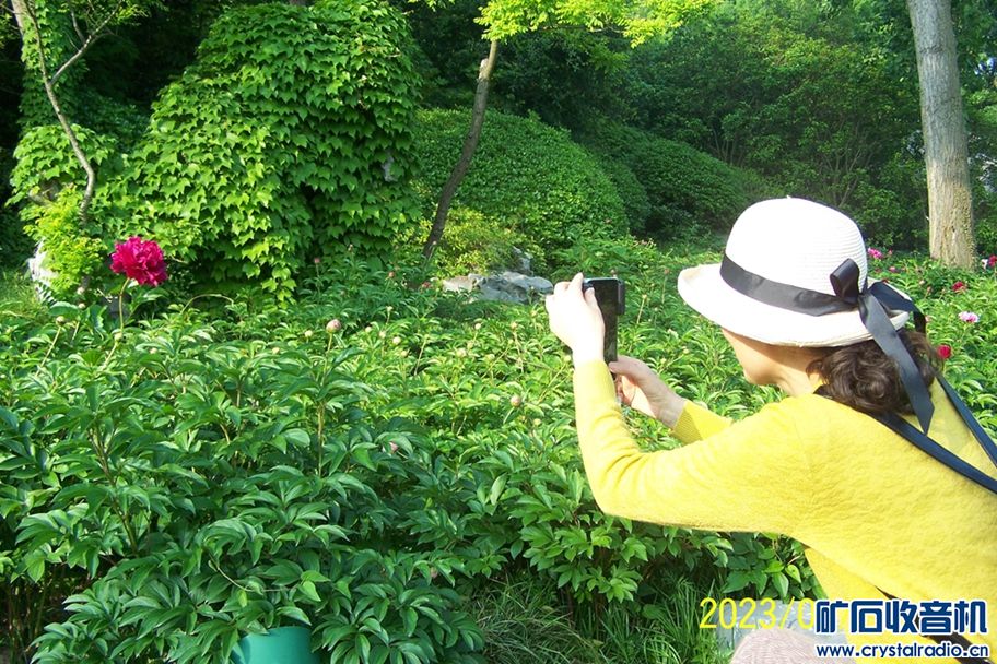 100_7009.JPG