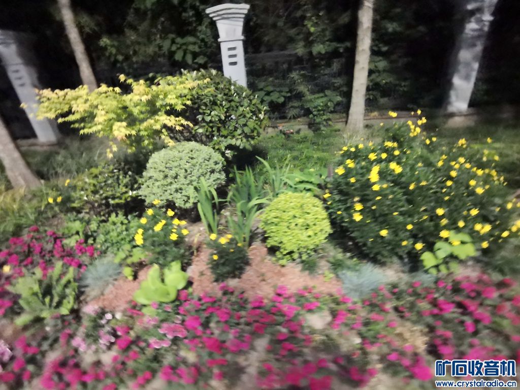 IMG_20230428_202452.jpg