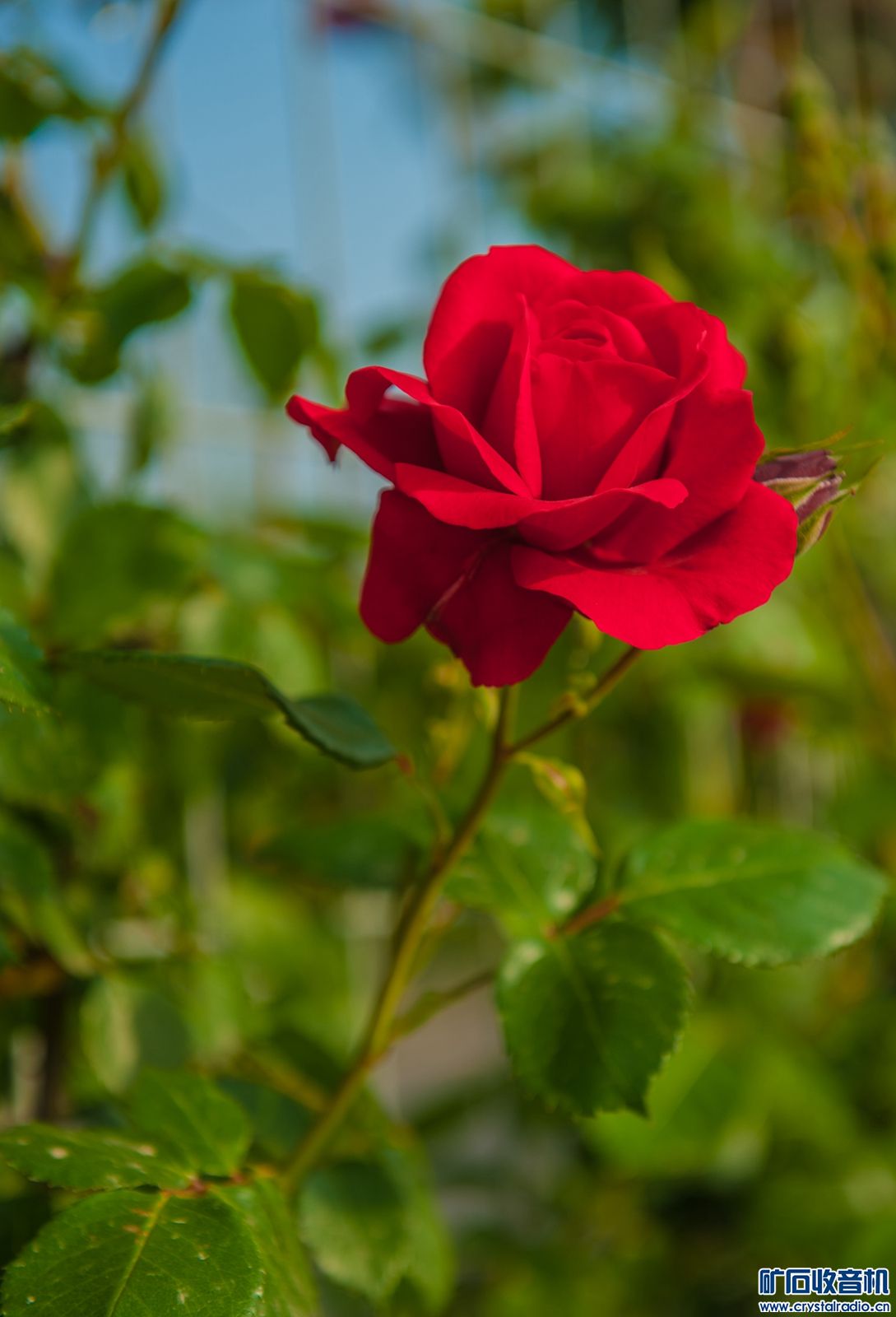 DSC_3901.JPG