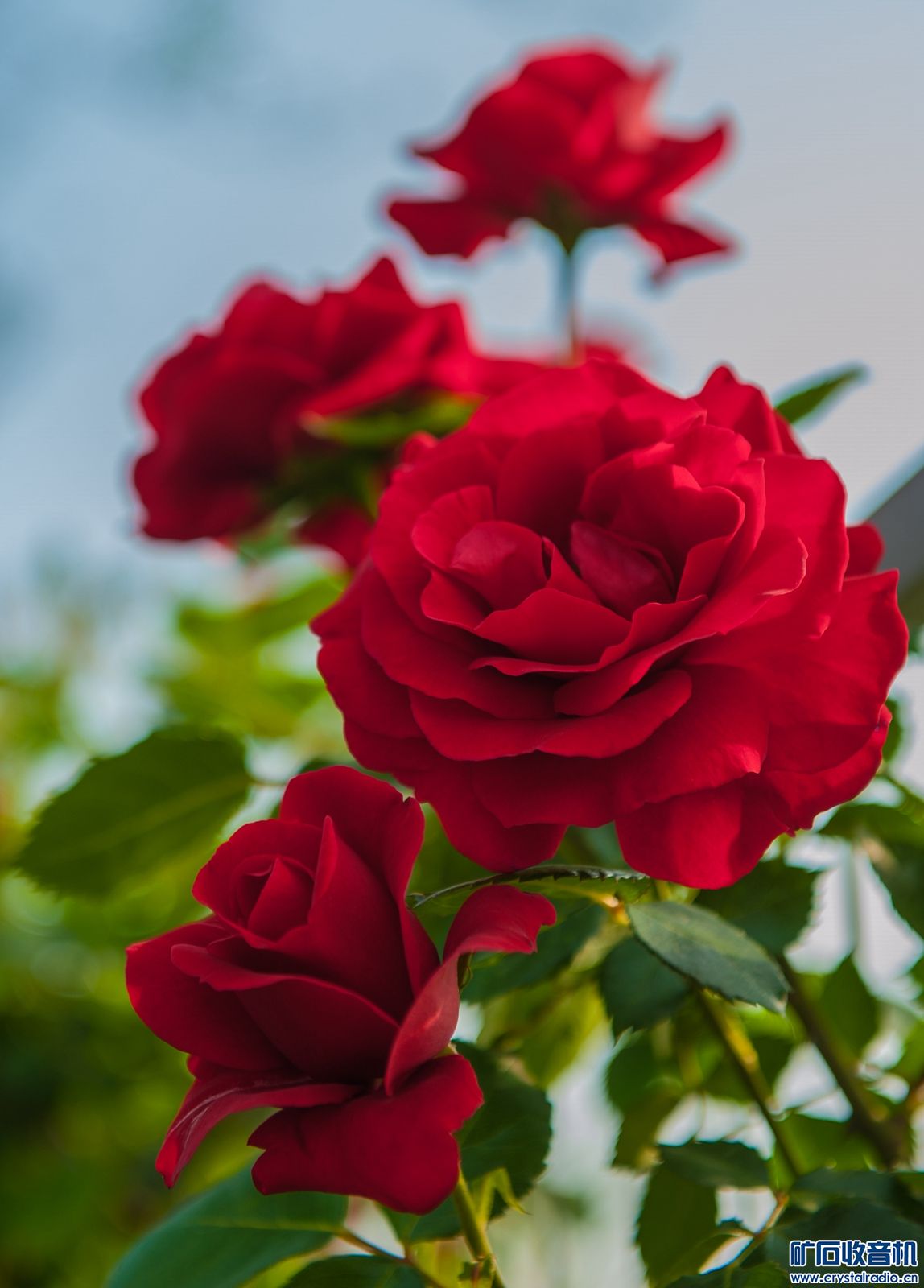 DSC_3902.JPG