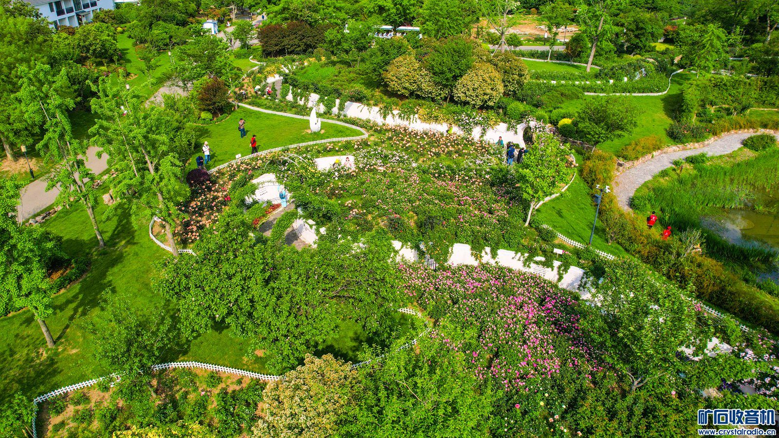 DJI_0531.JPG