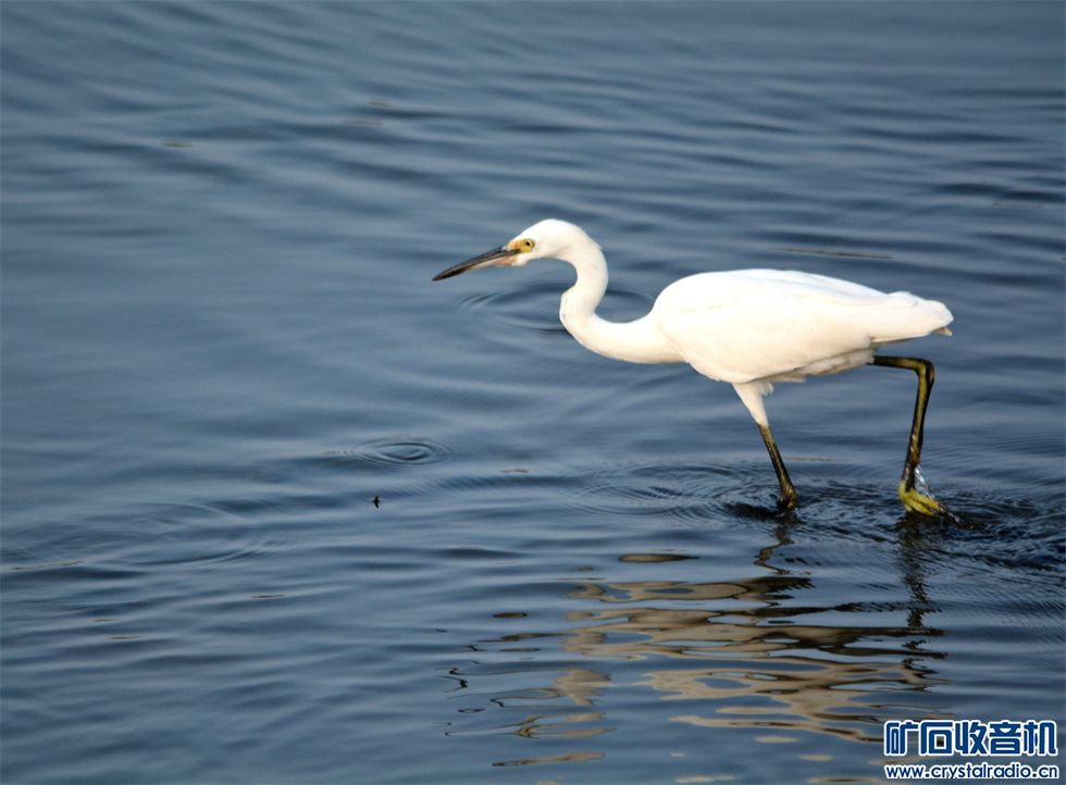DSC_4773_.jpg