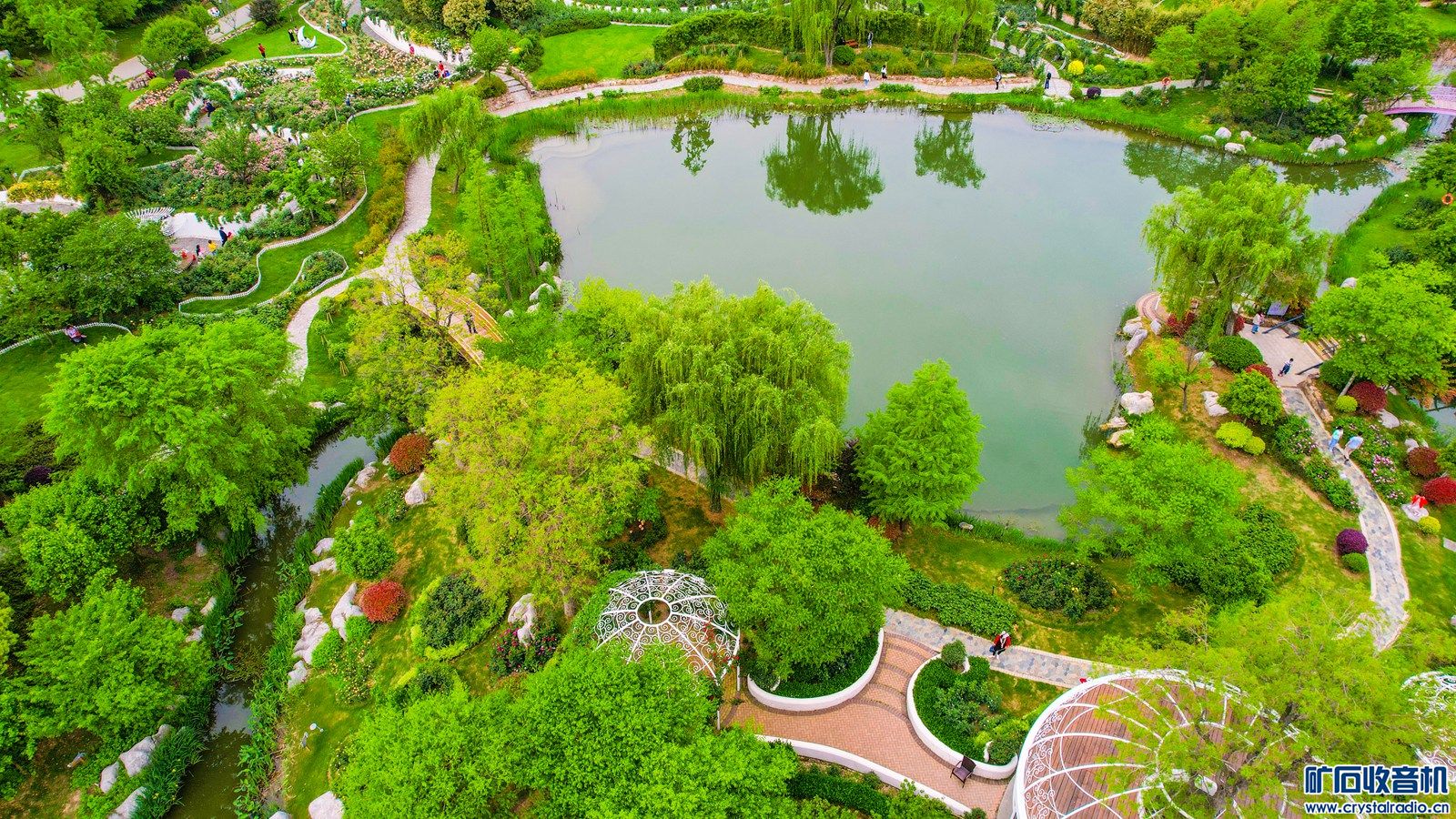 DJI_0593.JPG