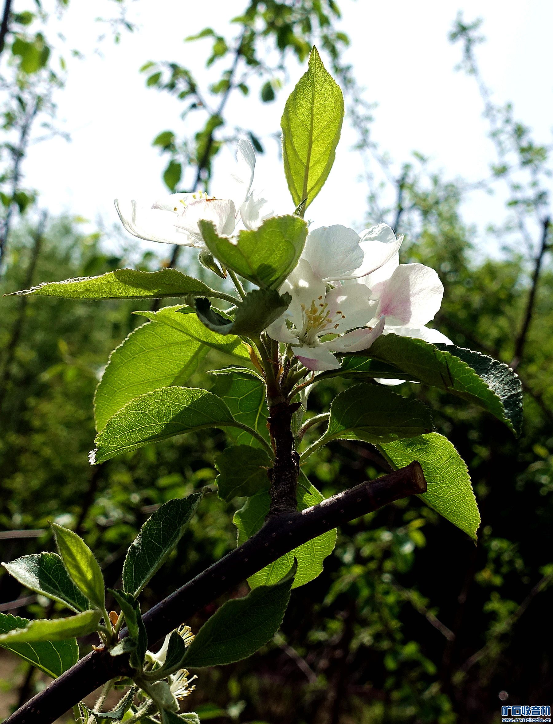 DSC04603.jpg