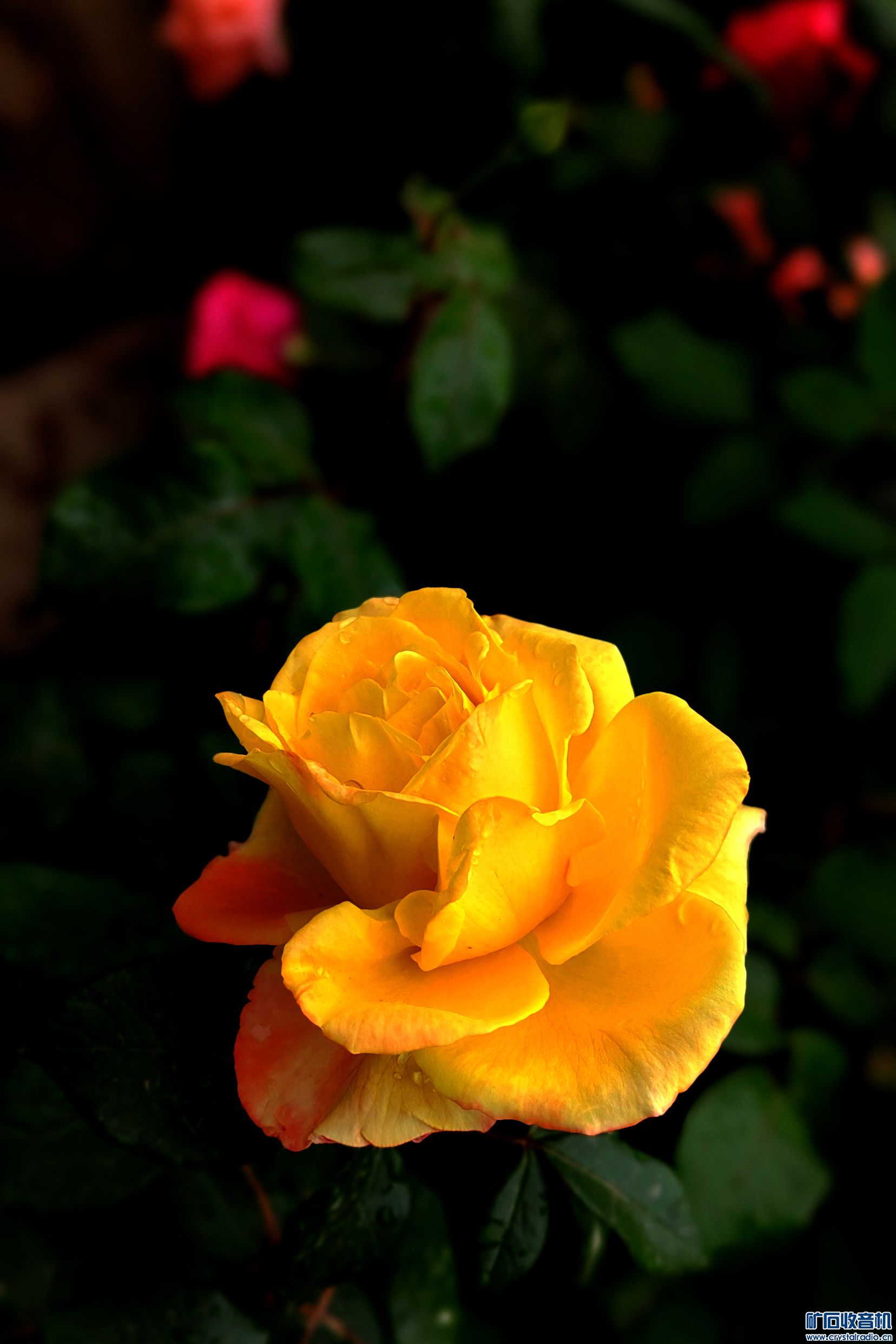 IMG_20230505_100844.jpg