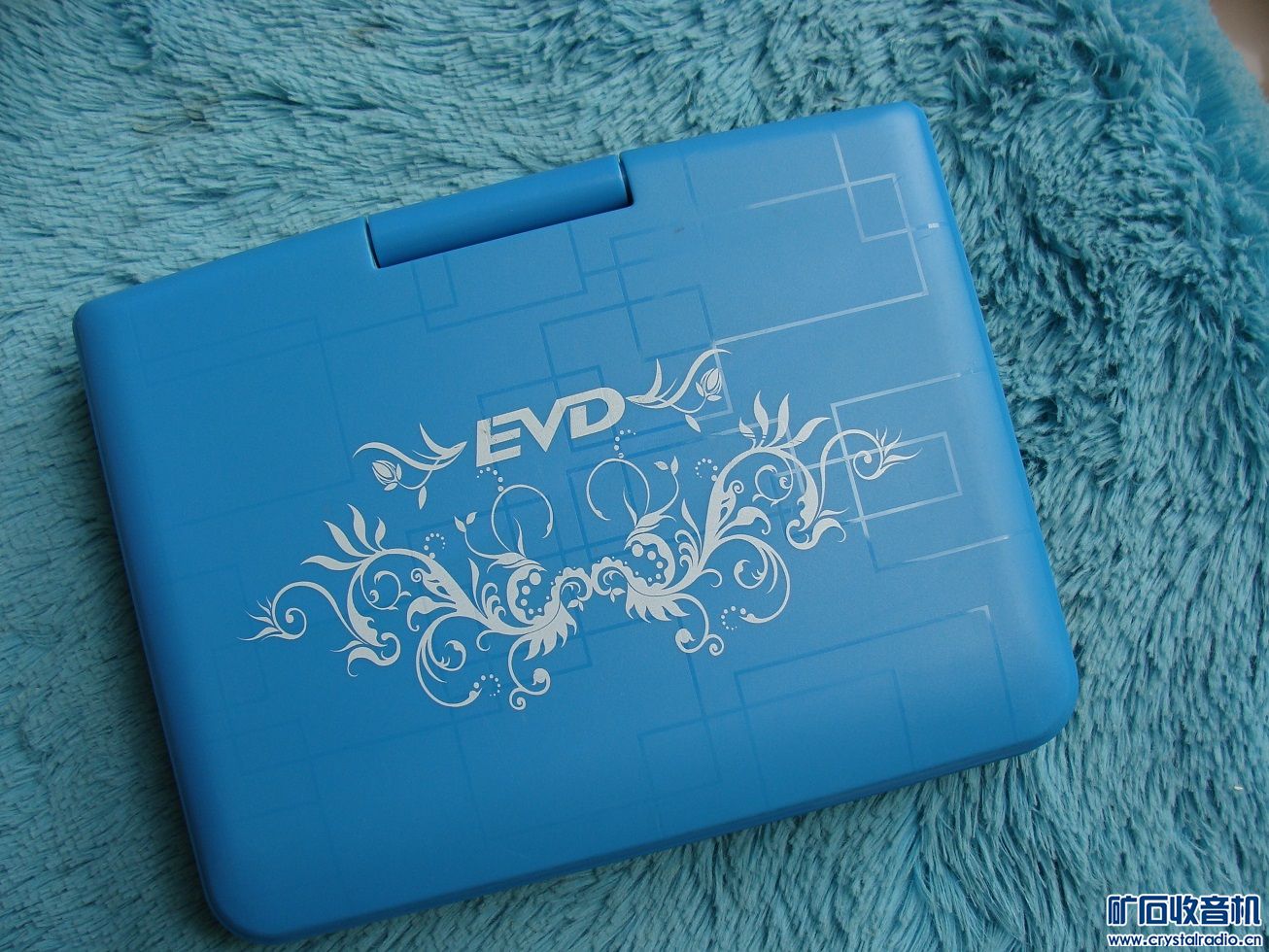 ƶdvd1.JPG