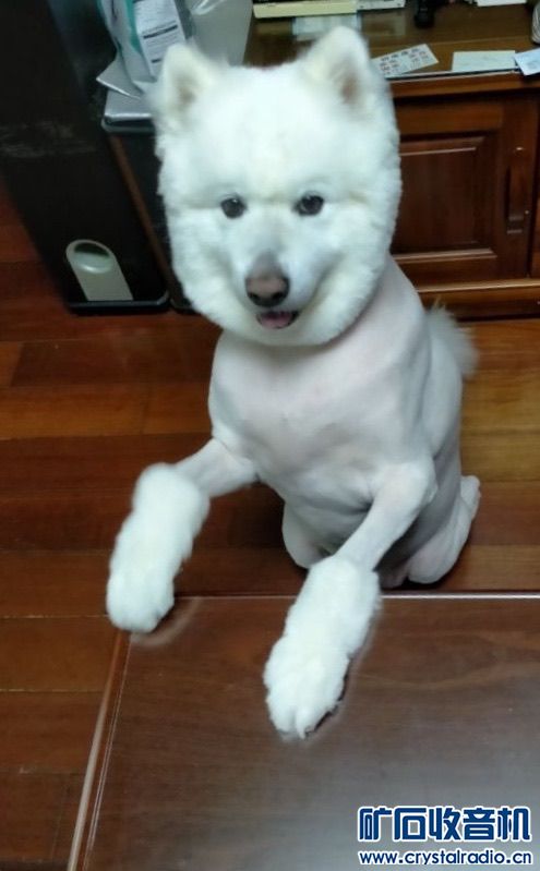 һɵ
