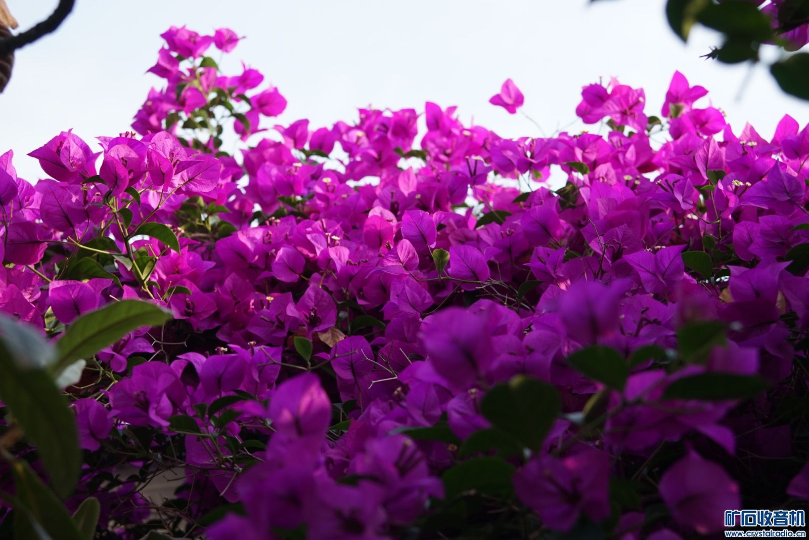 39AB8E7F-A31C-4F97-89EF-31F29F36855C.jpeg