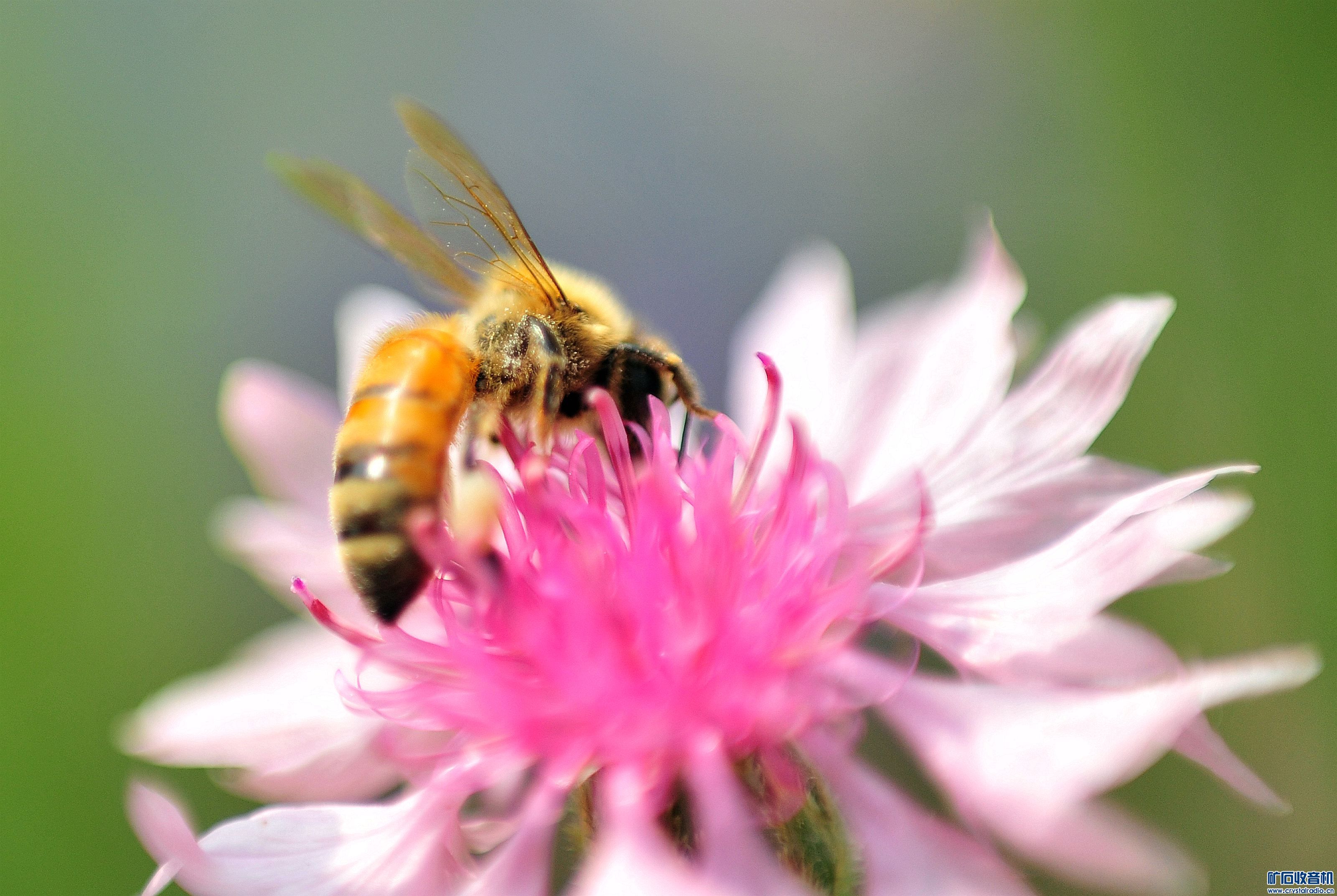 D700Ƭ@08.jpg