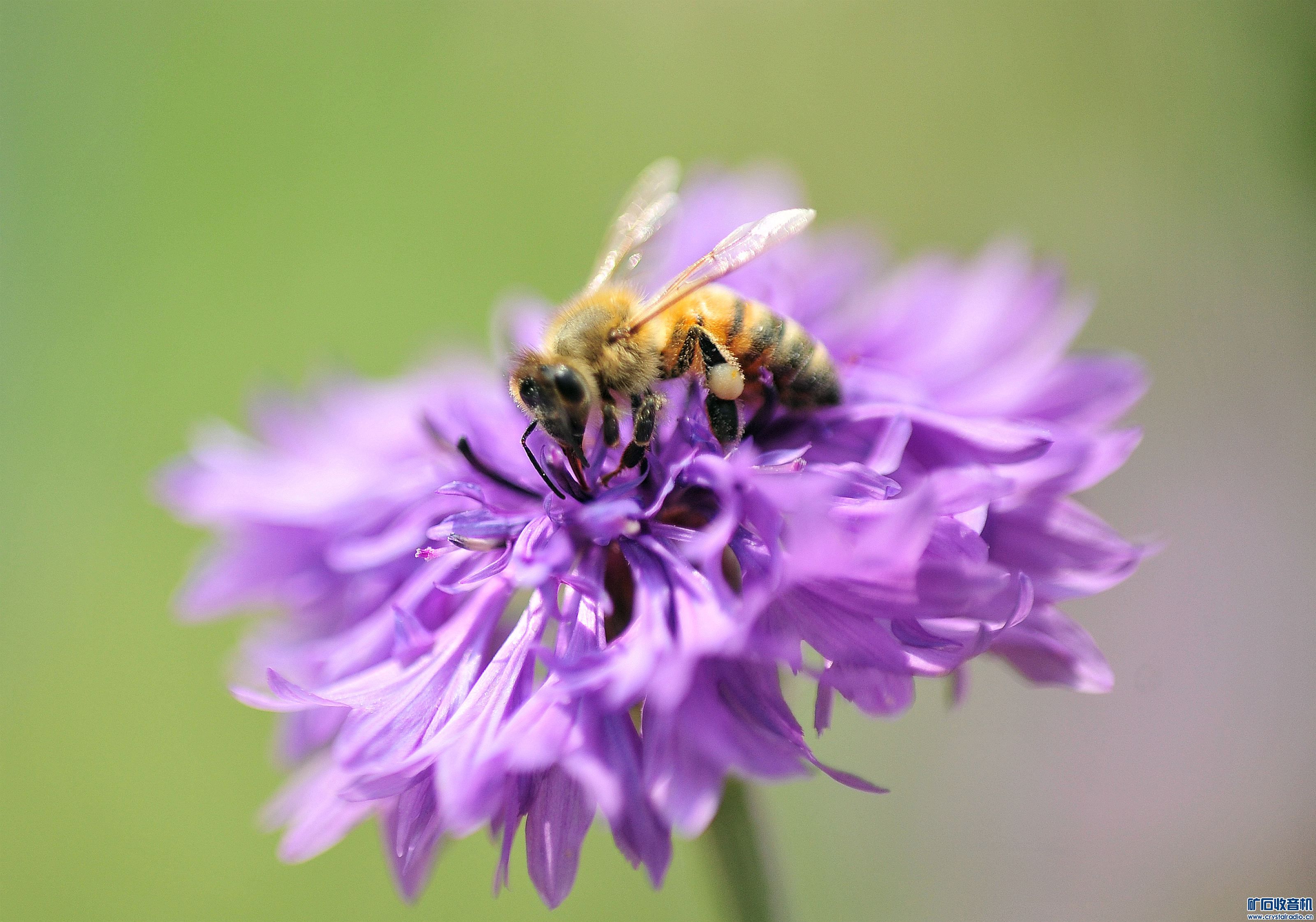 D700Ƭ@11.jpg