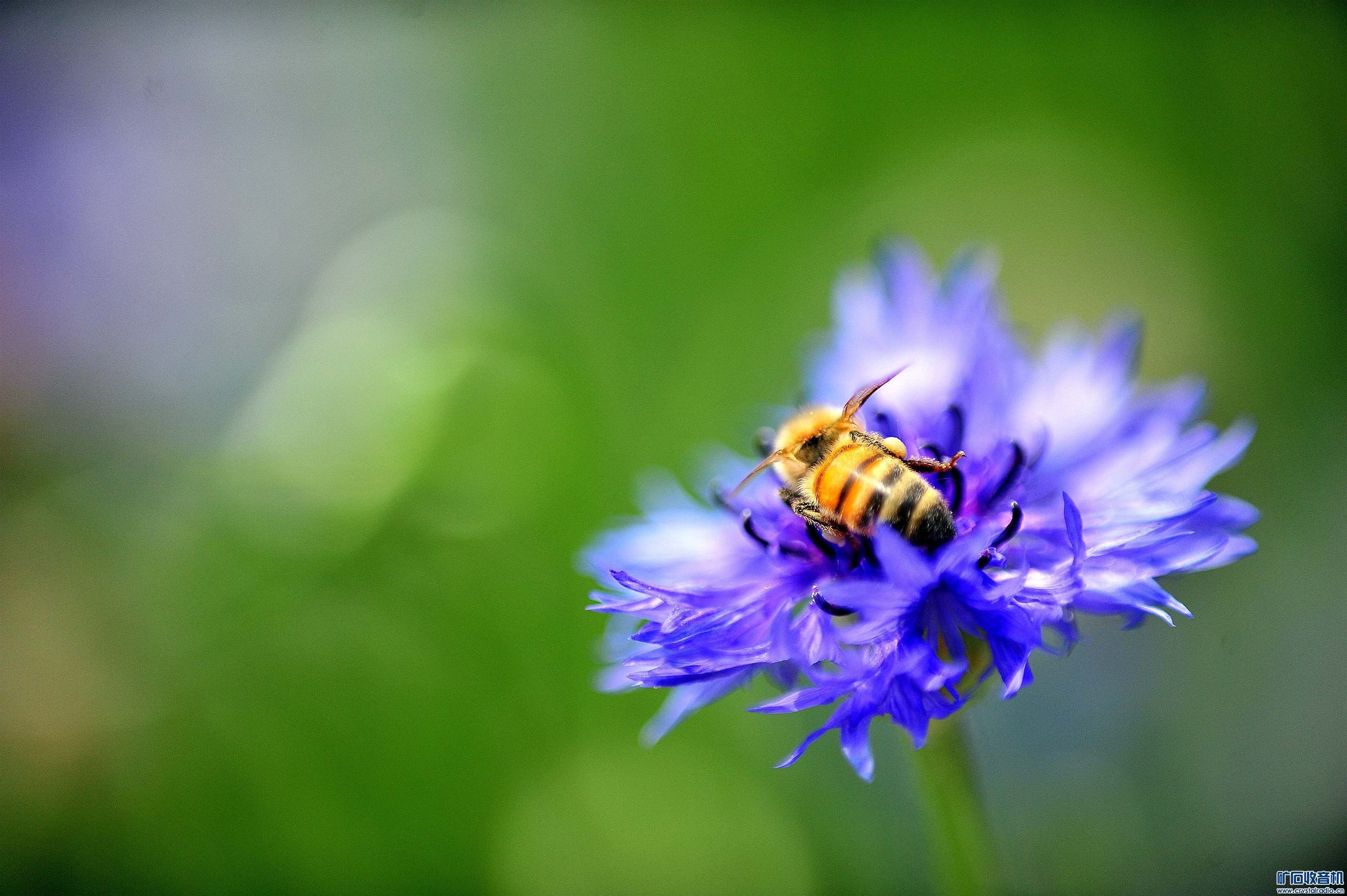 D700Ƭ@20.jpg