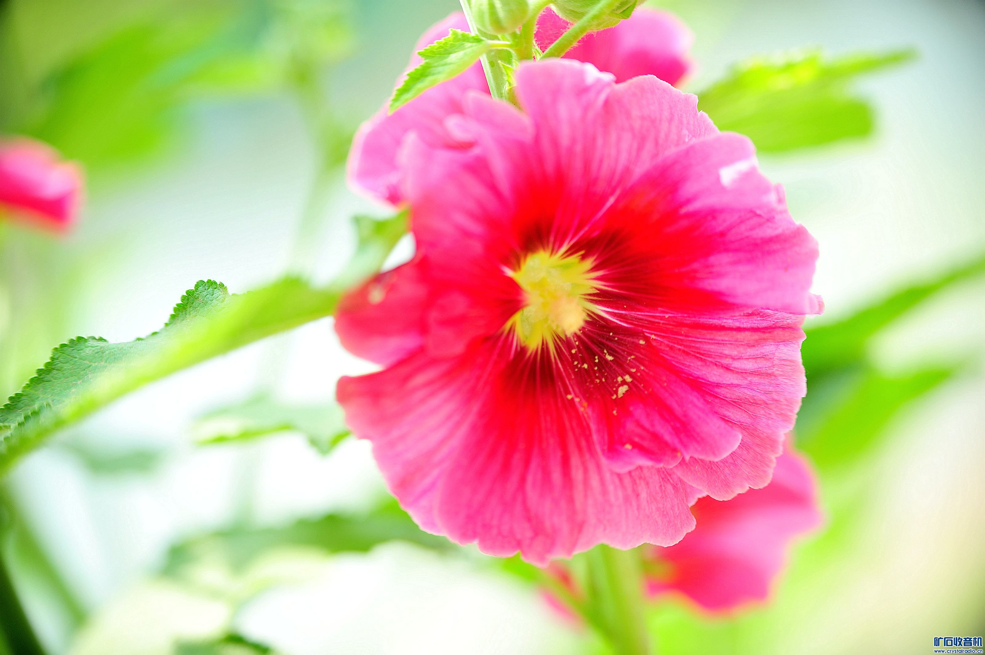 D700Ƭ@22.jpg