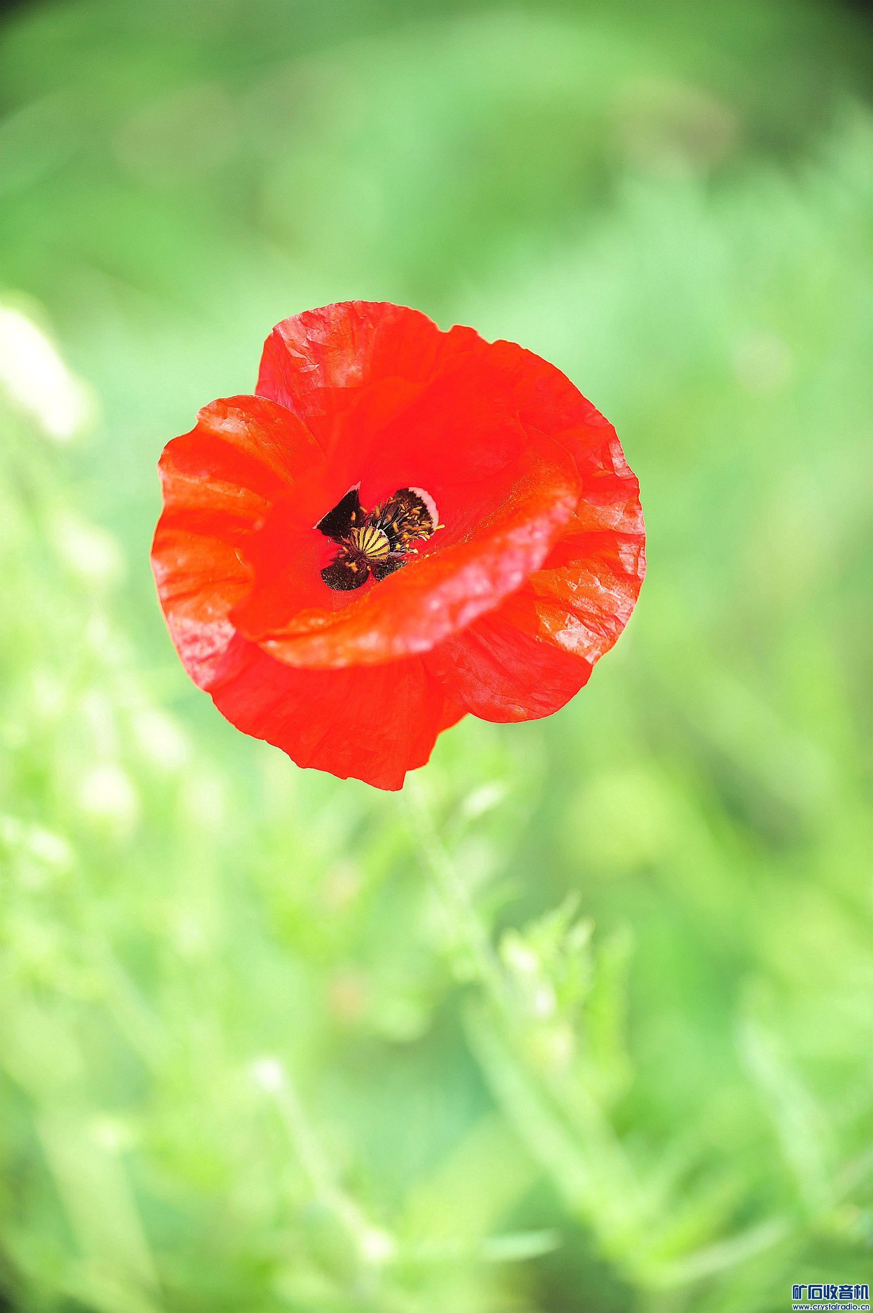 D700Ƭ@31.jpg