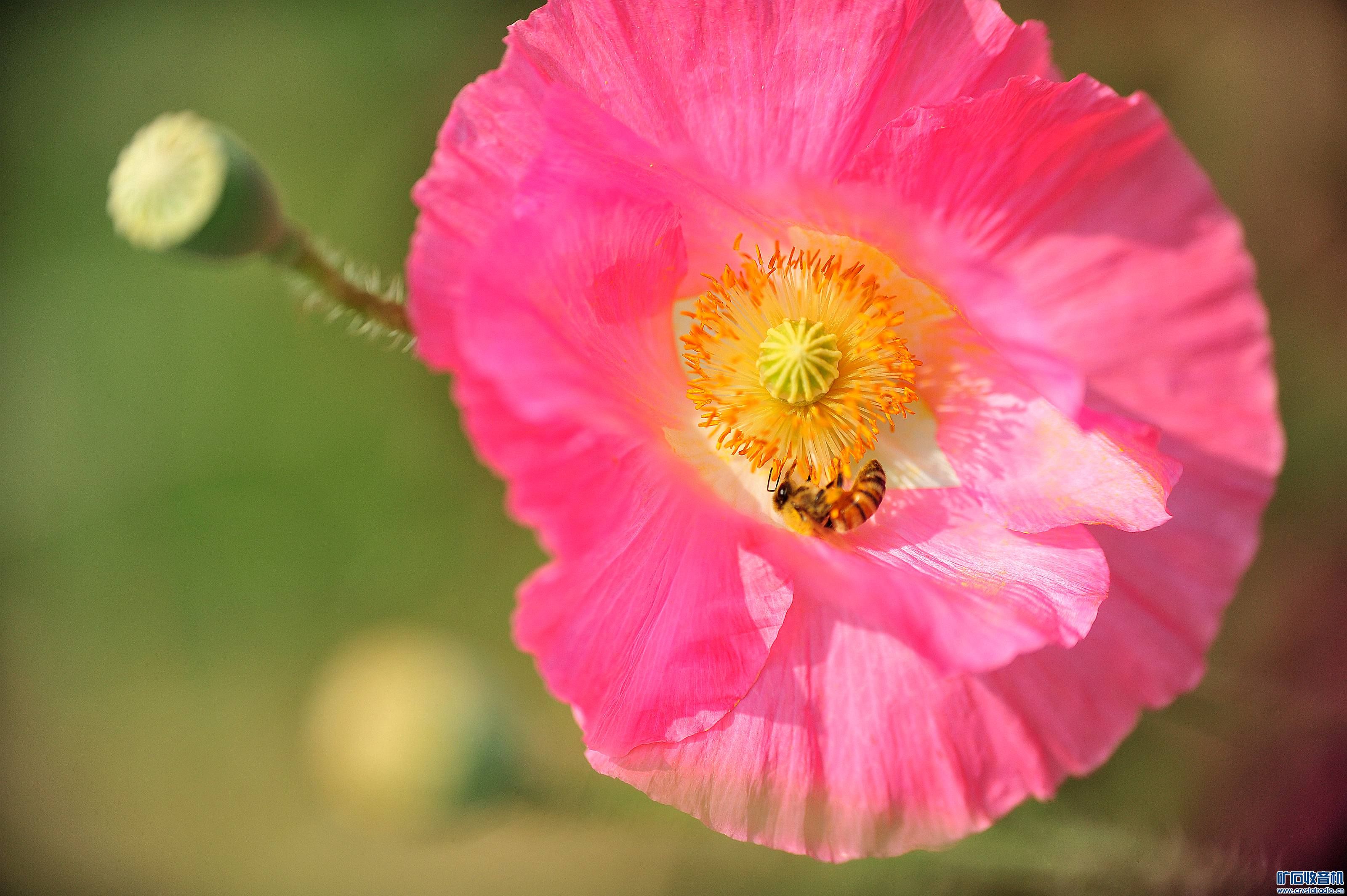 D700Ƭ@45.jpg