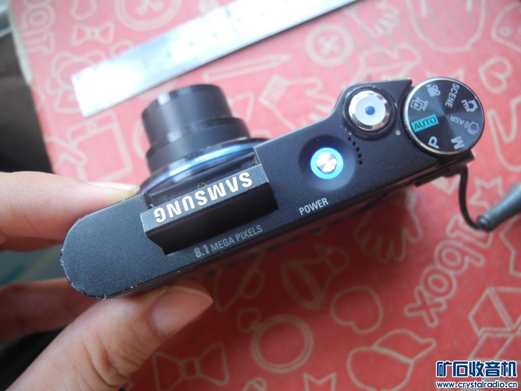 DSCN7308.JPG